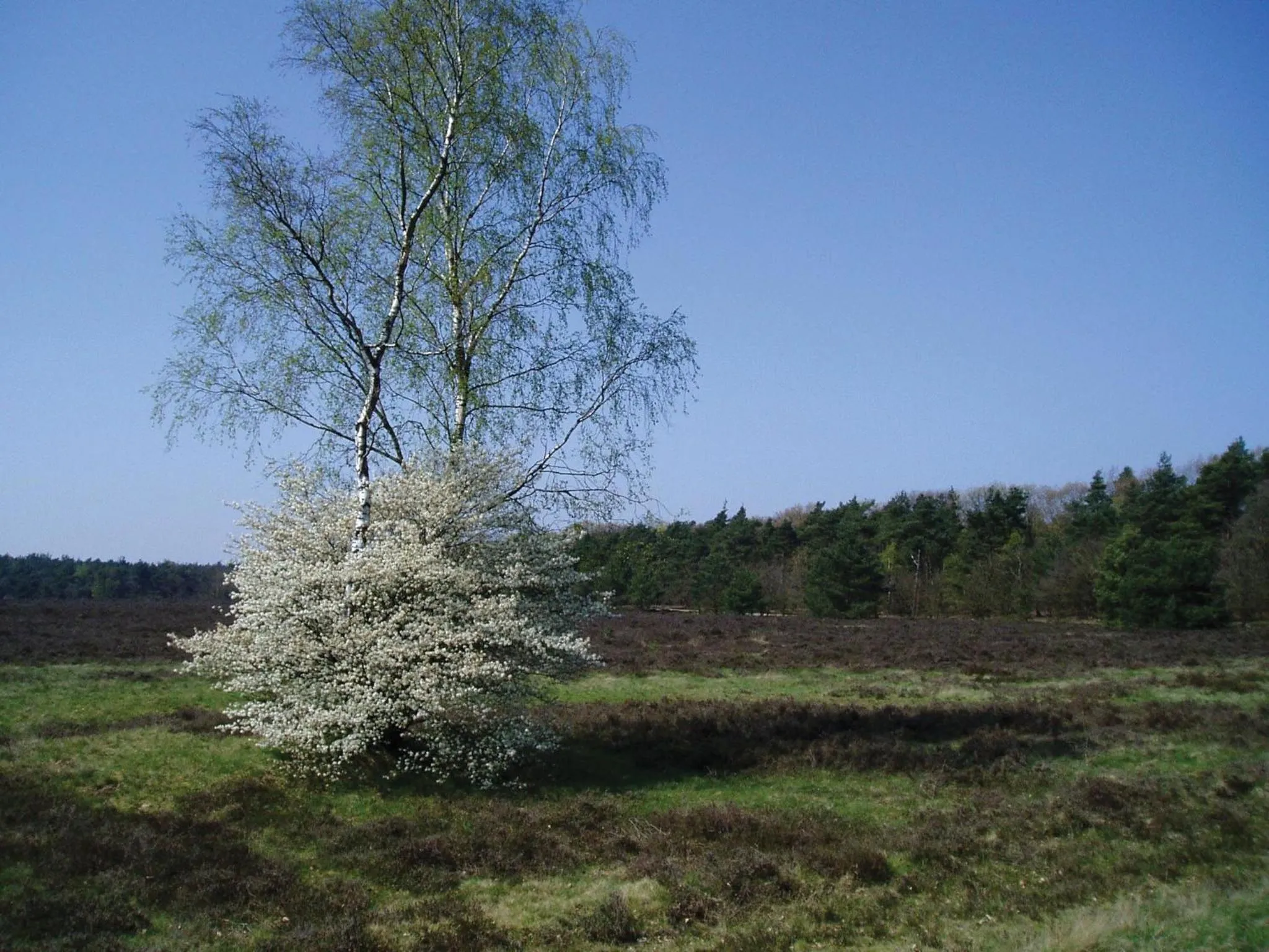 Area and facilities in Fletcher Boutique Hotel De Mallejan