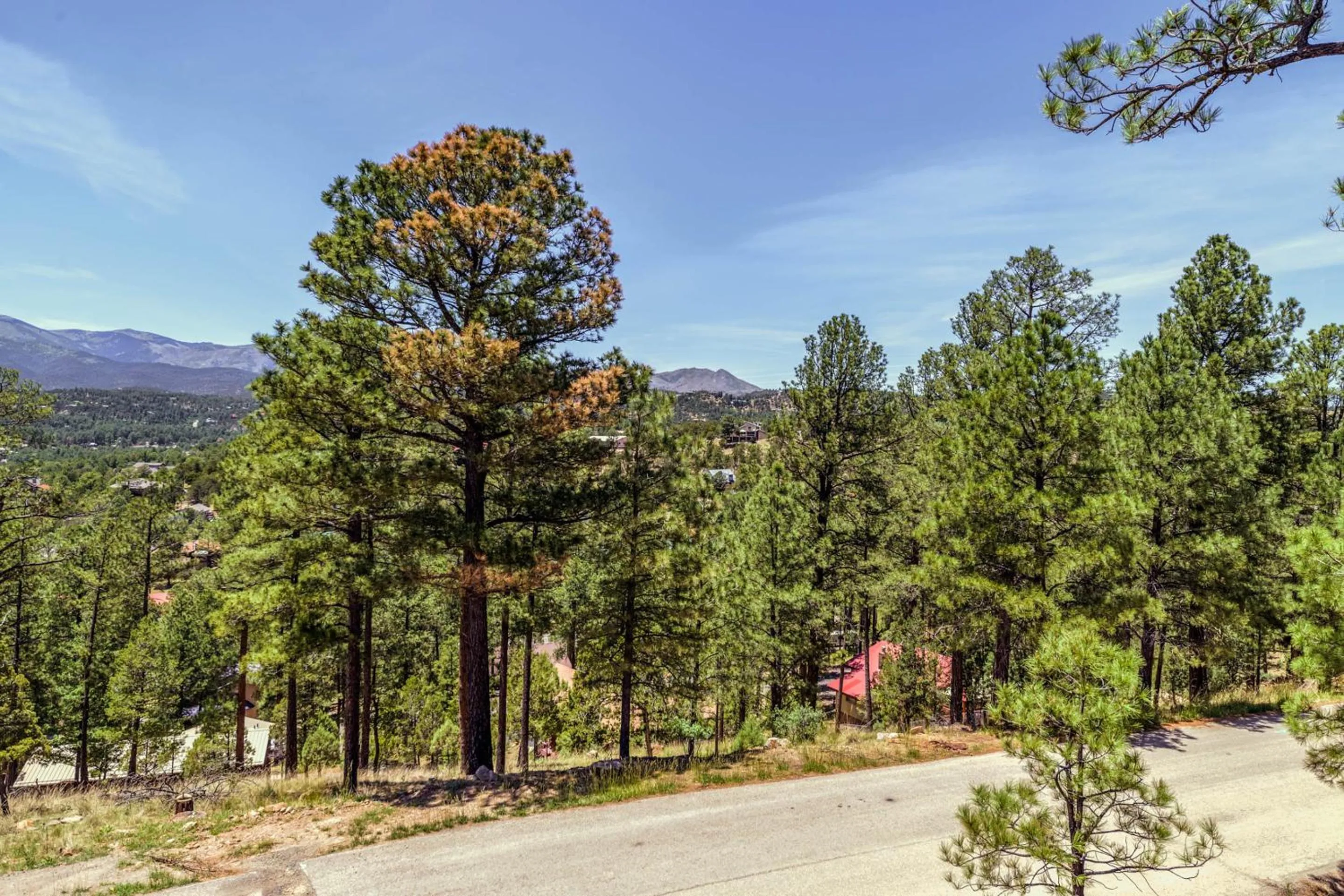 Property building in Viewtopia
