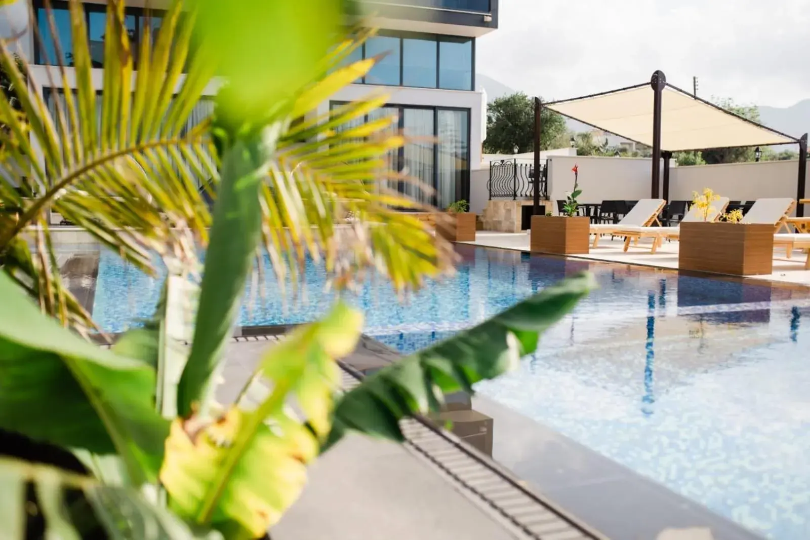 Lounge or bar in Del Mare Park Lounge or bar in Del Mare Park