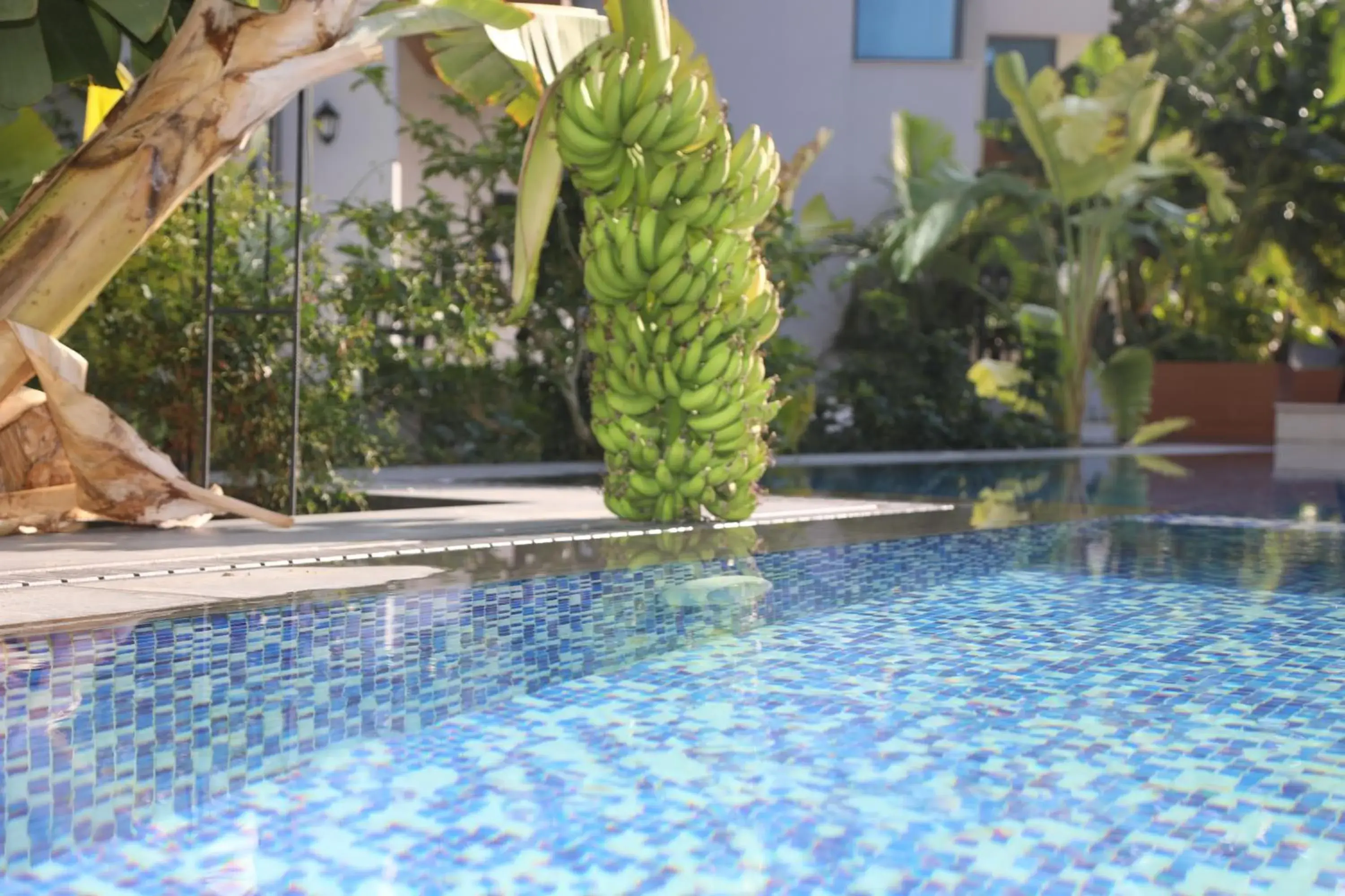 Property building in Del Mare Park Property building in Del Mare Park