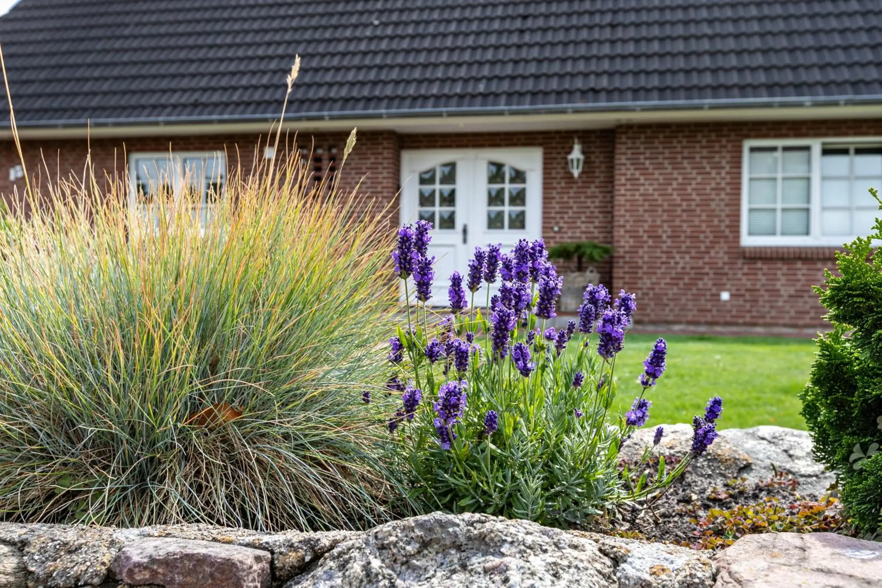 Ferienwohnung Meeressand Ferienwohnung Meeressand