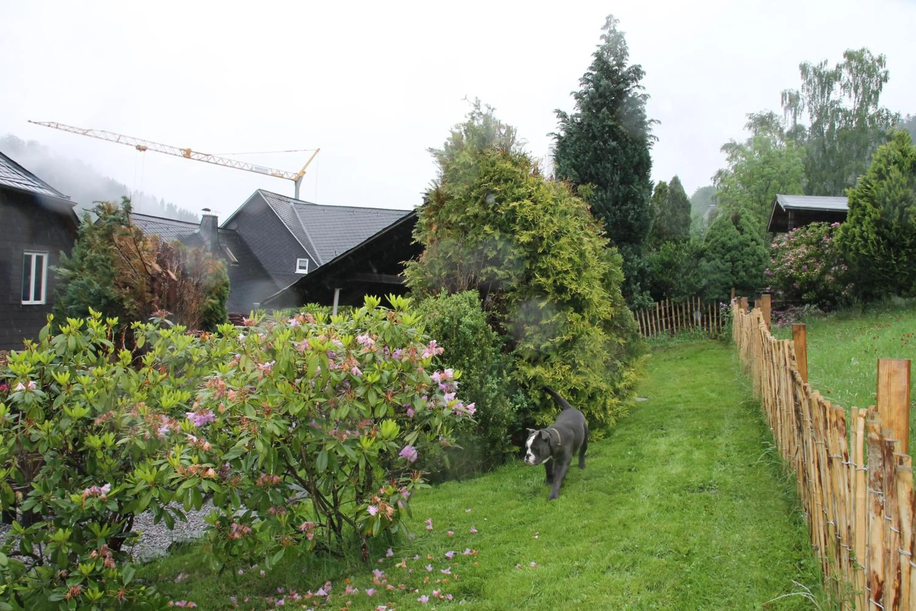 Garden in Ferienhaus Winterberg für 12 Personen Sauna Garten Garage Hund