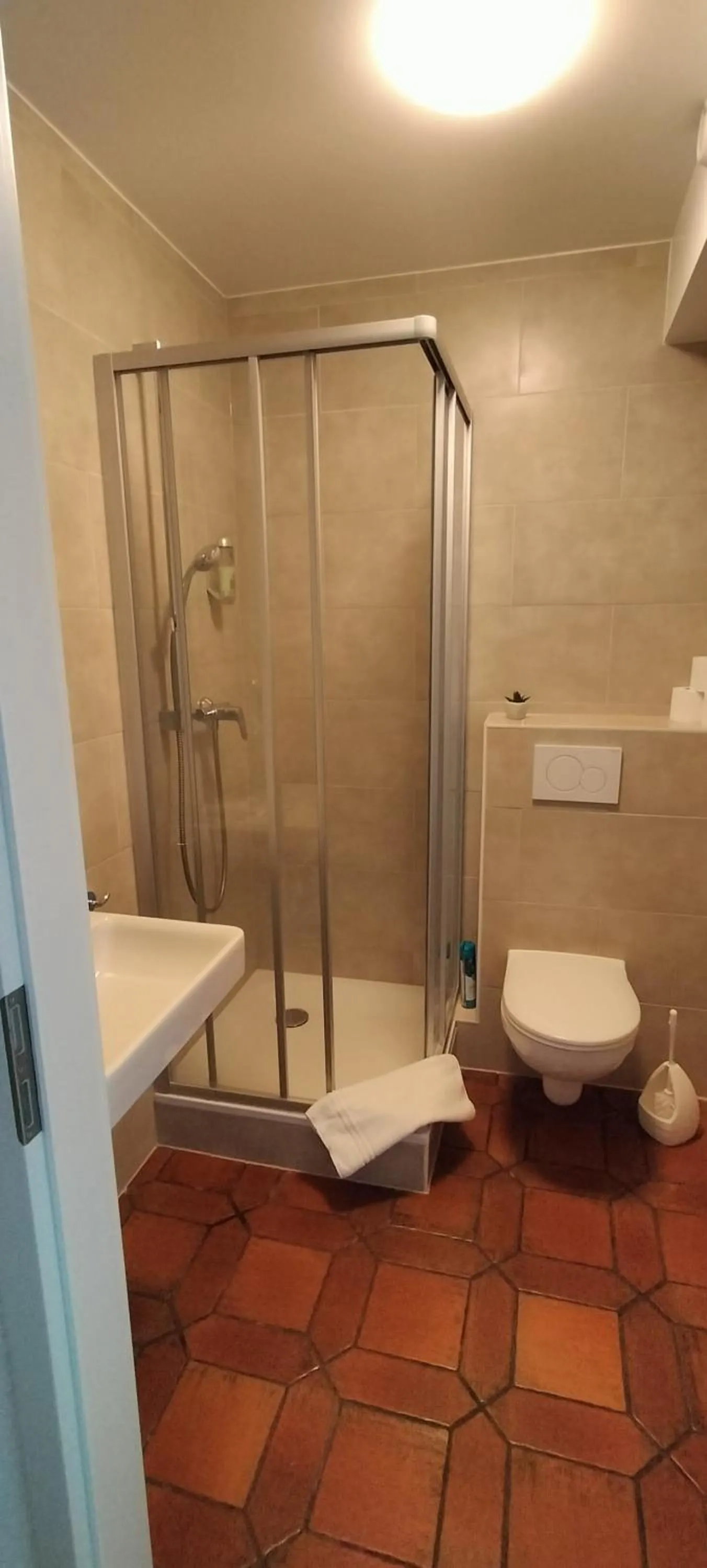 Shower in Castle view