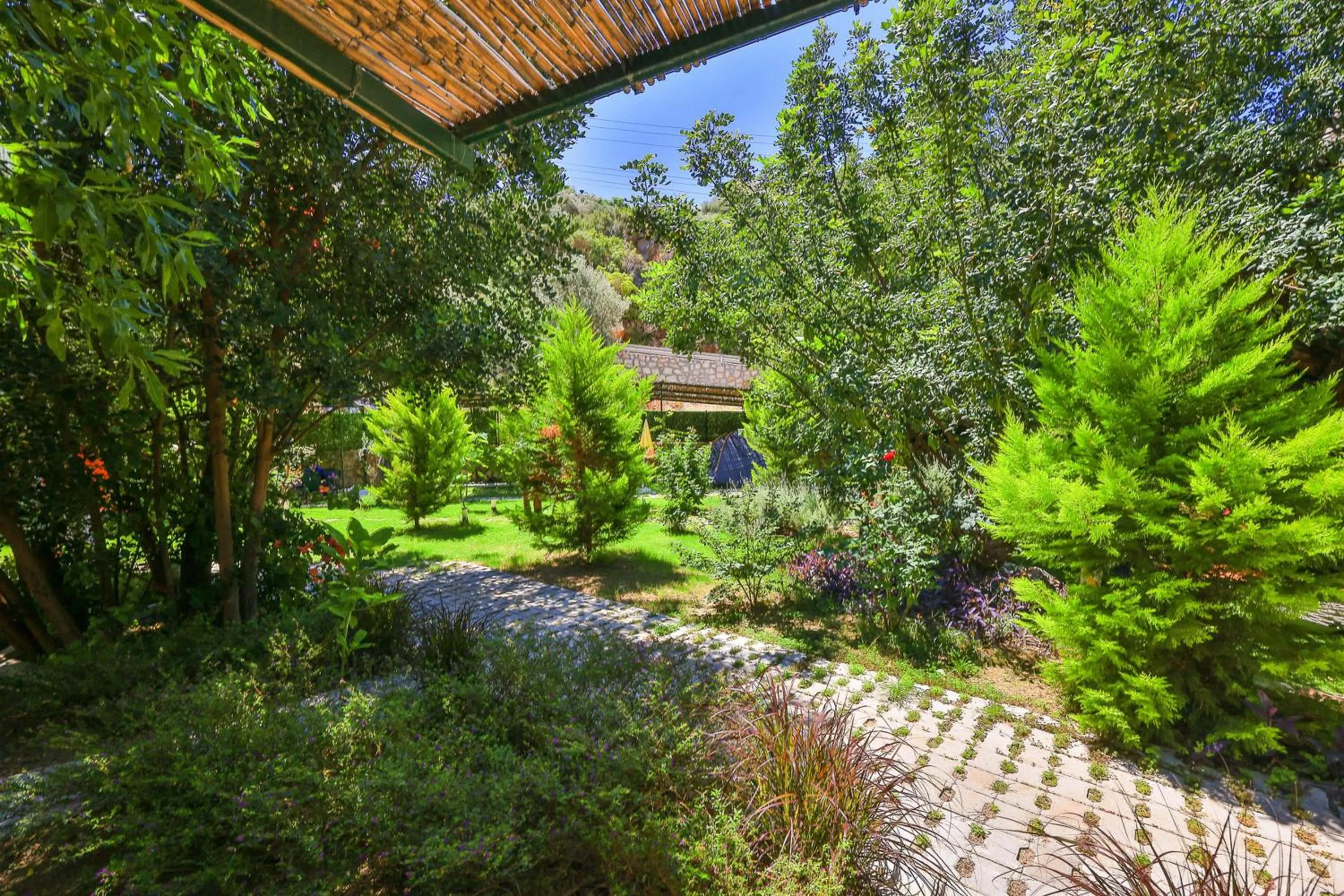 Garden in Harnup Apart