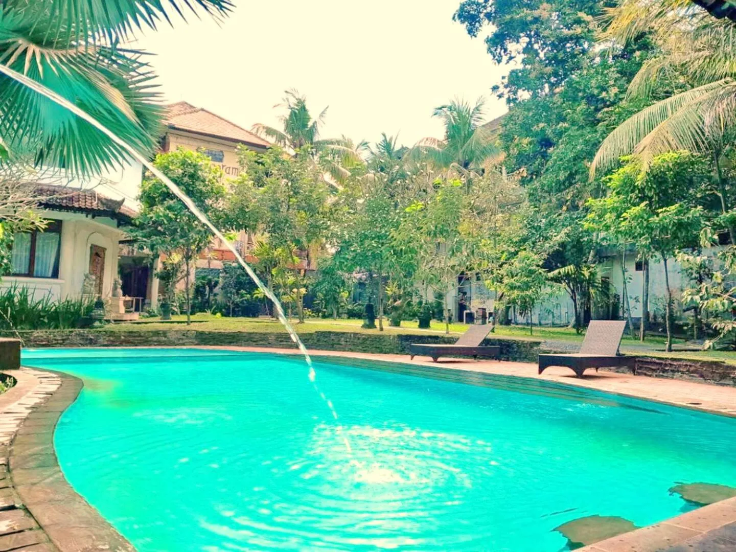 Garden view in Hotel rooms 2 minutes to Monkey Forest