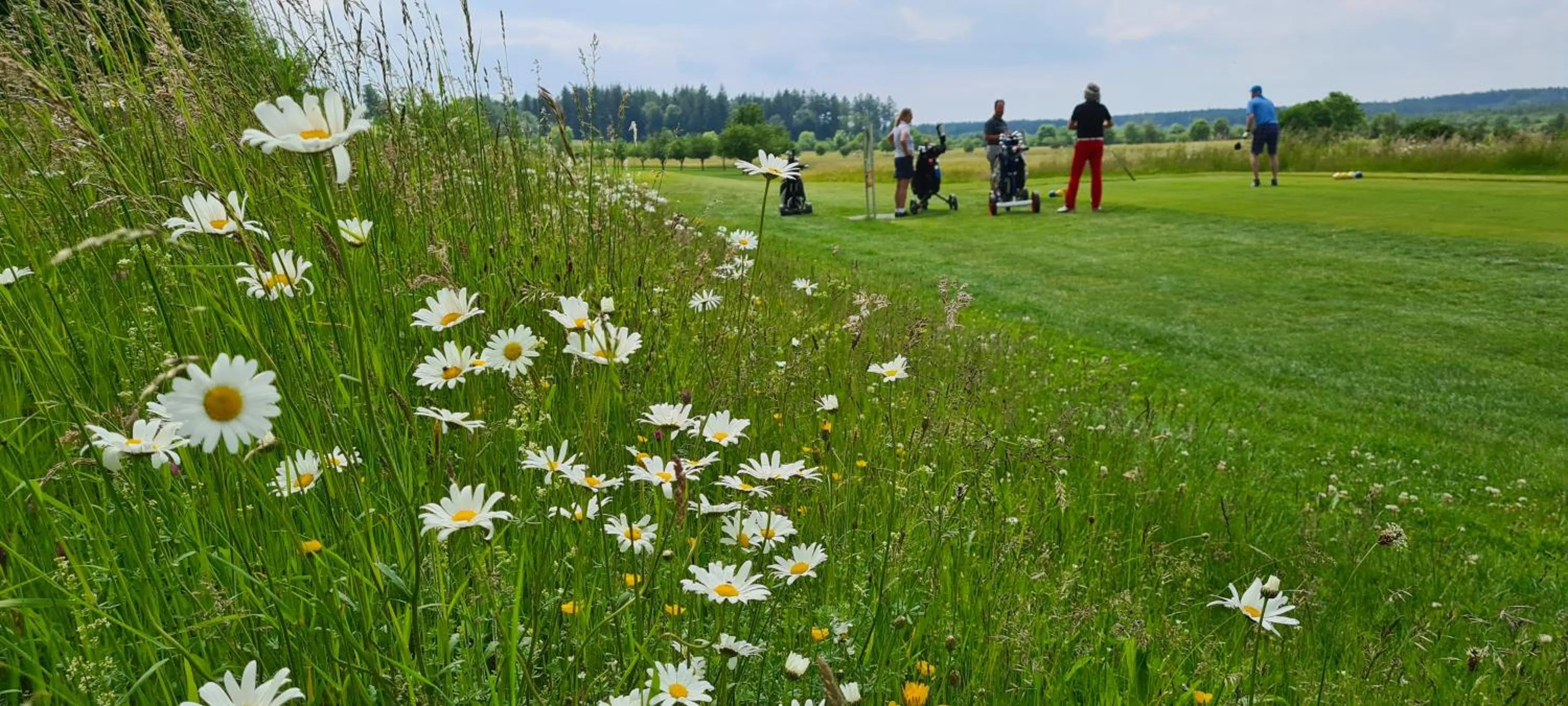Golfcourse in Hotel Restaurant Schwarzer Adler