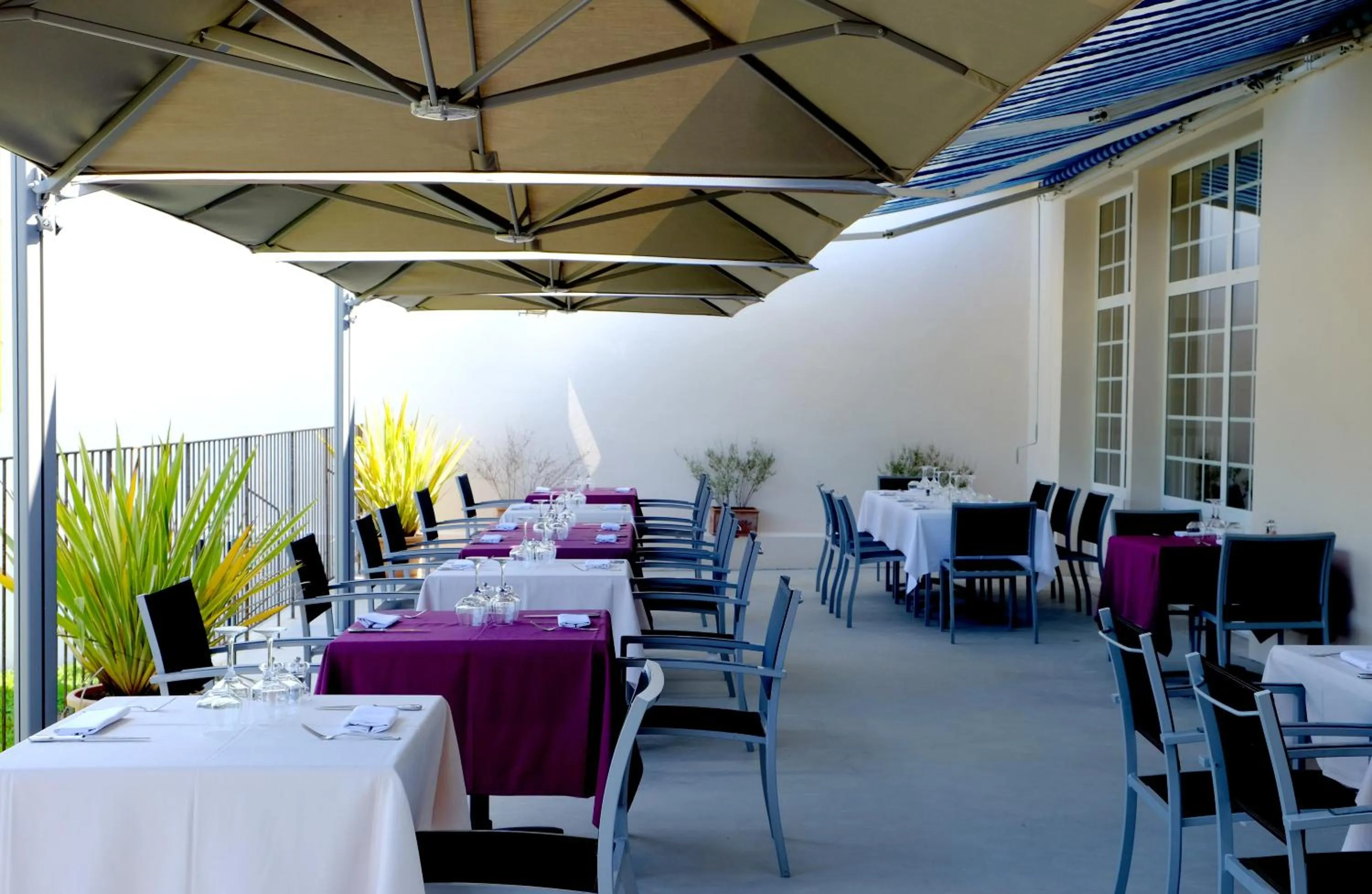 Restaurant/places to eat in Logis Grand Hotel Pelisson