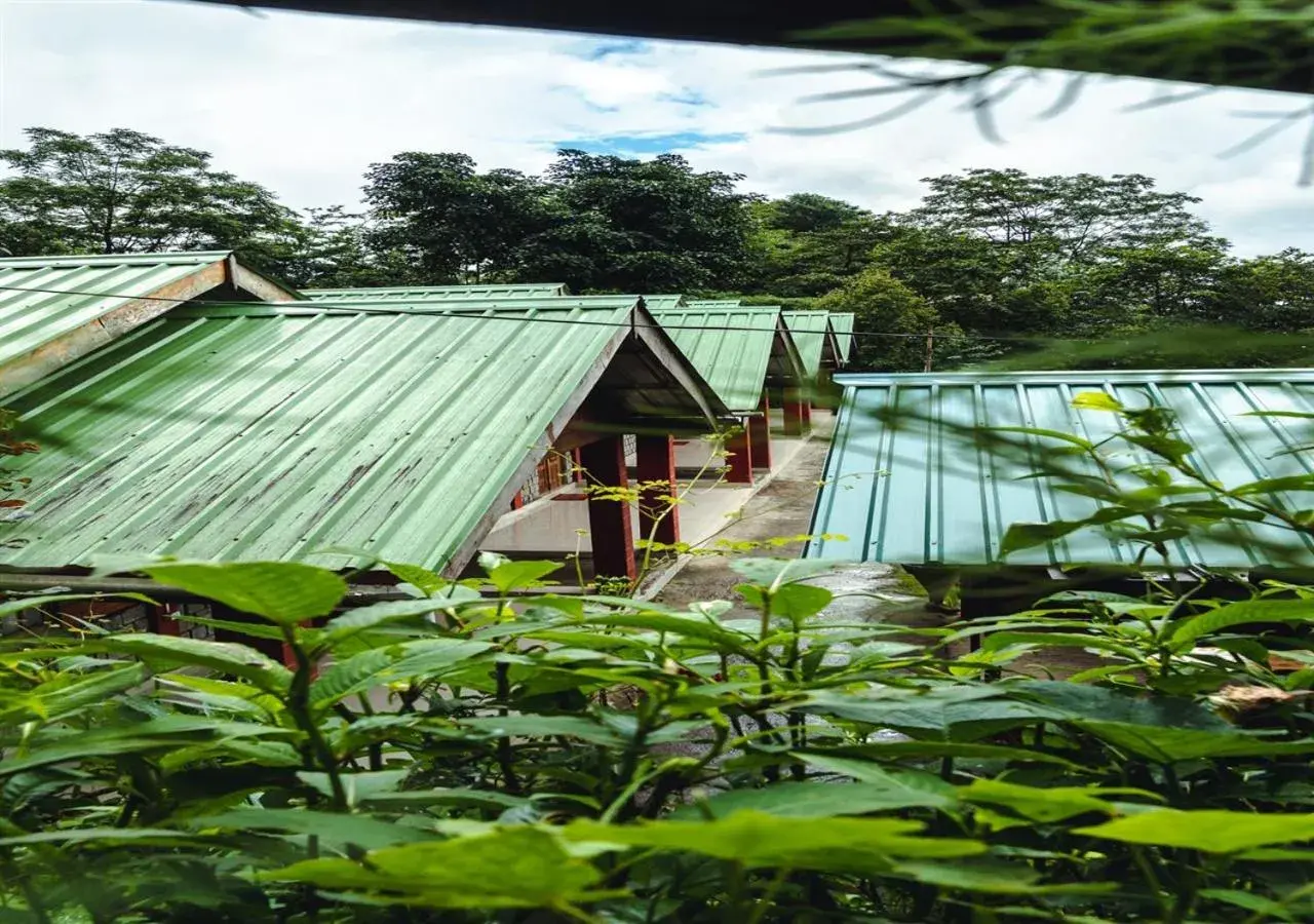 Facade/entrance in Camp David, Kigwema Facade/entrance in Camp David, Kigwema