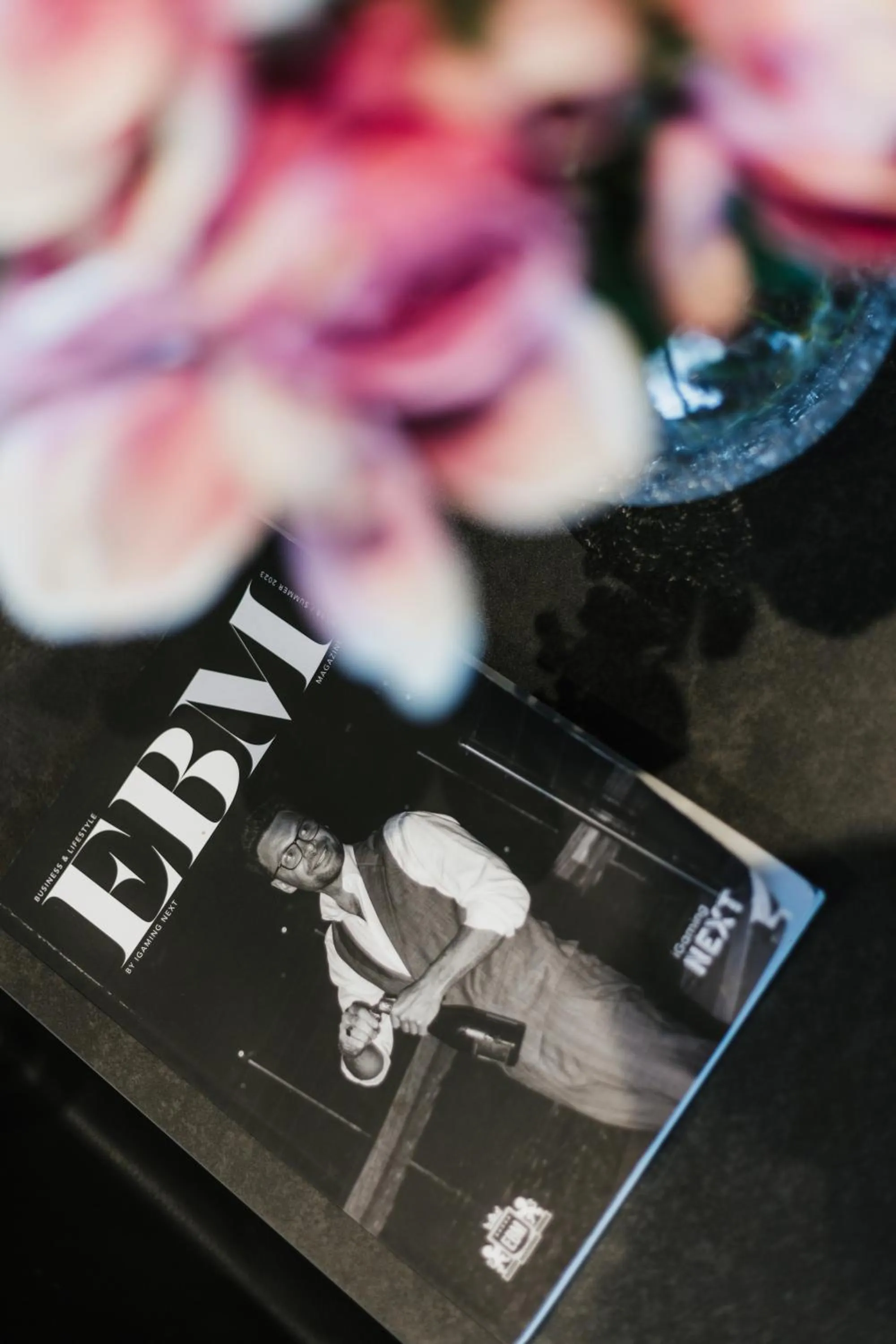 furniture in Eleven by Warren Collection