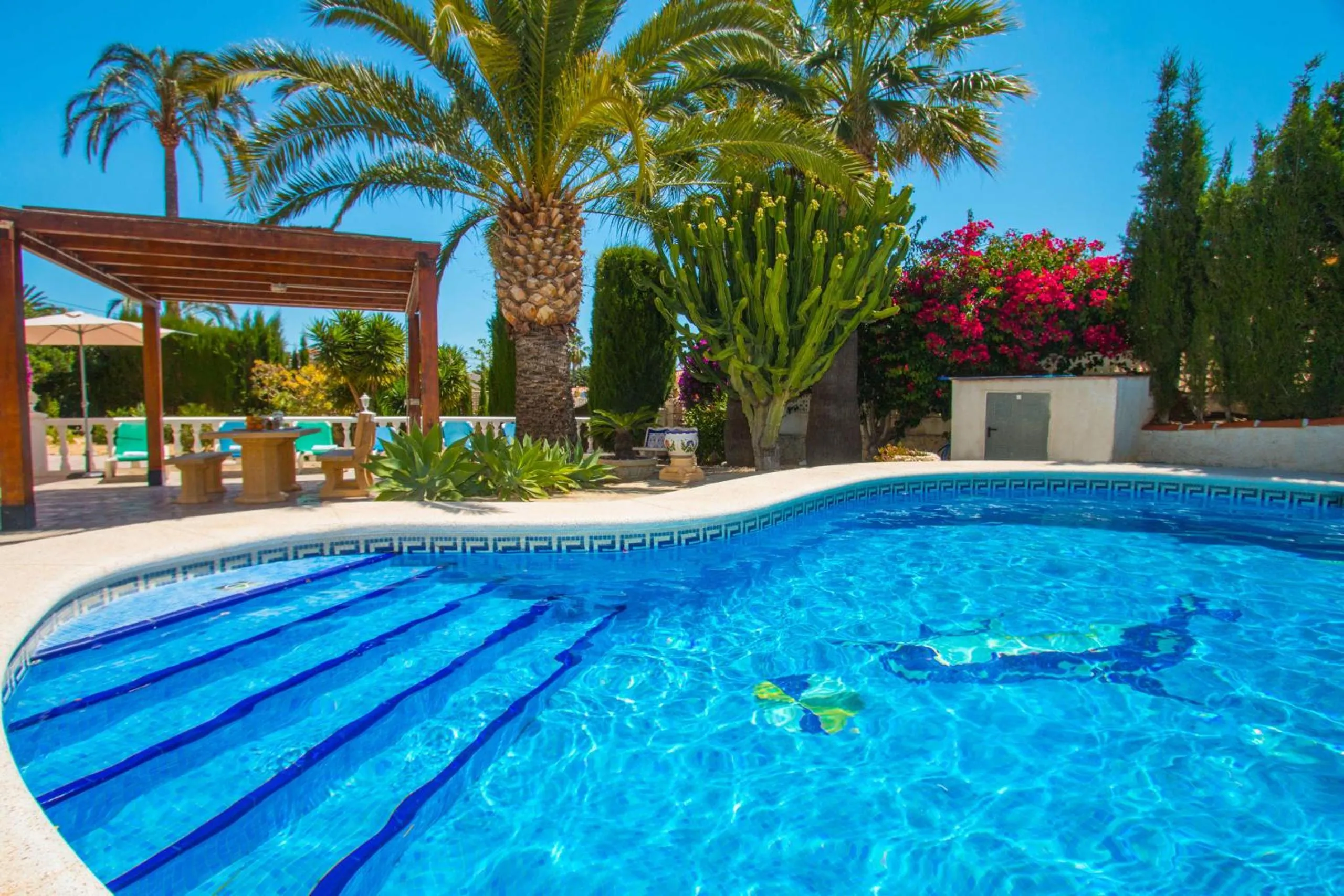 Swimming pool in Villa Erik - PlusHolidays