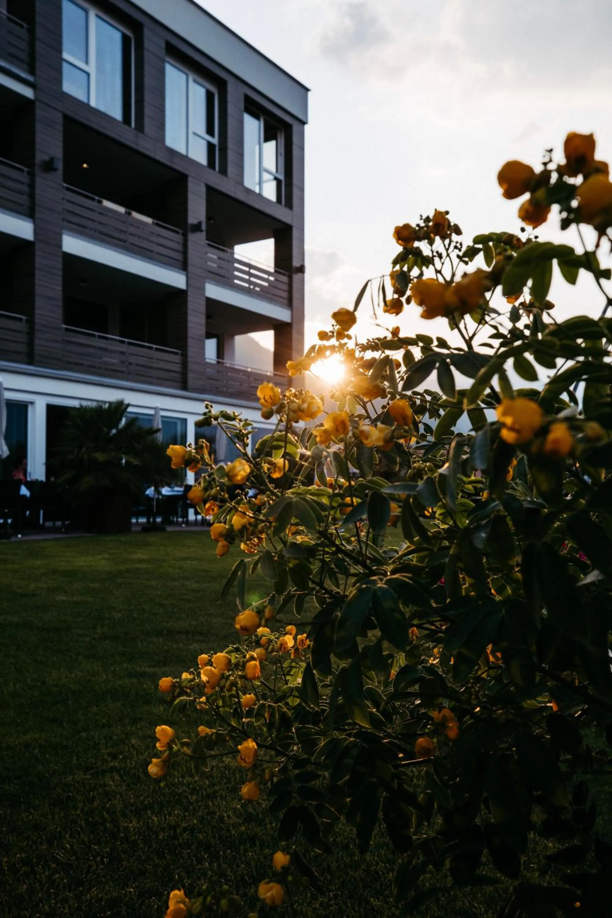 Natural landscape in Hotel Gantkofel