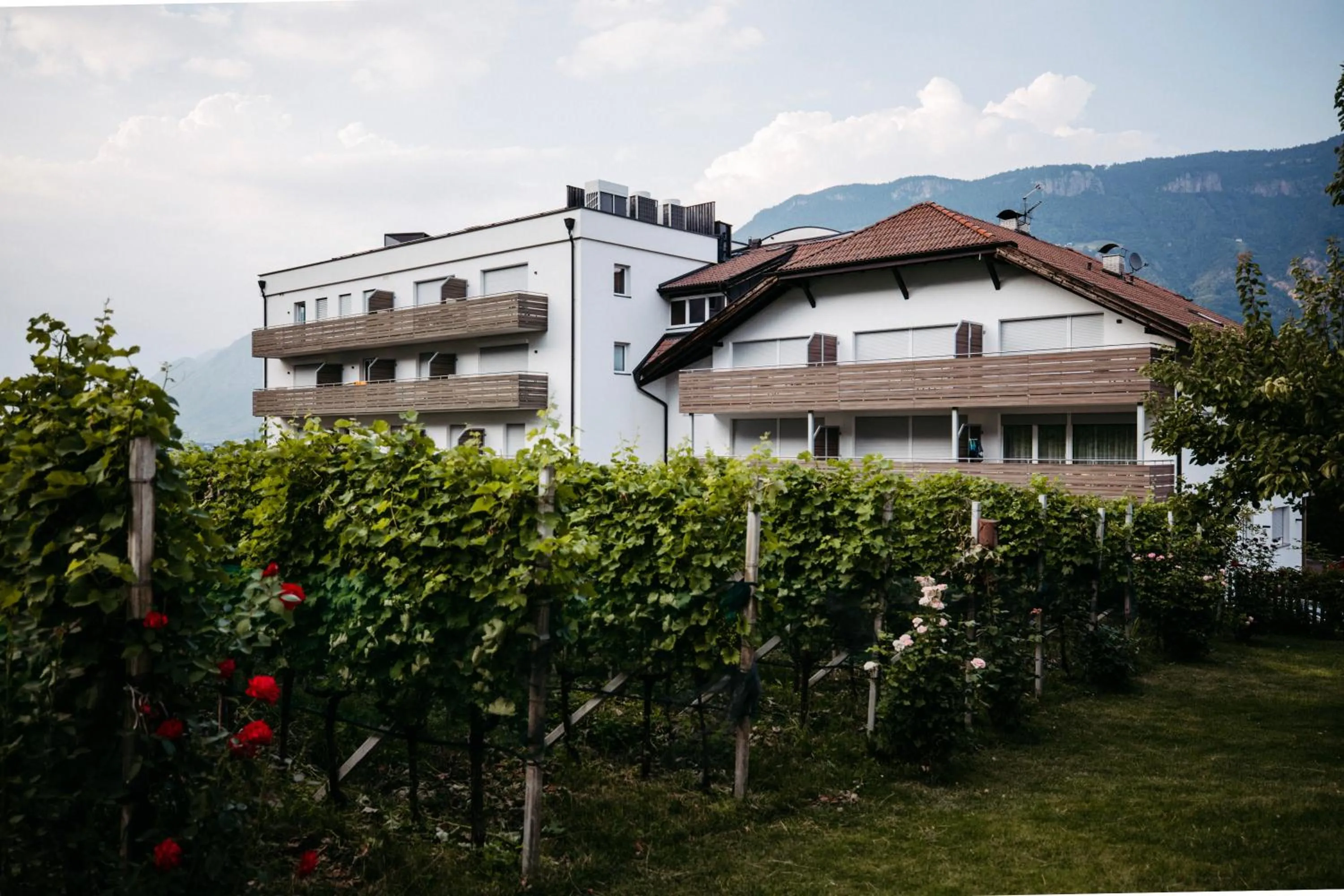 Natural landscape in Hotel Gantkofel