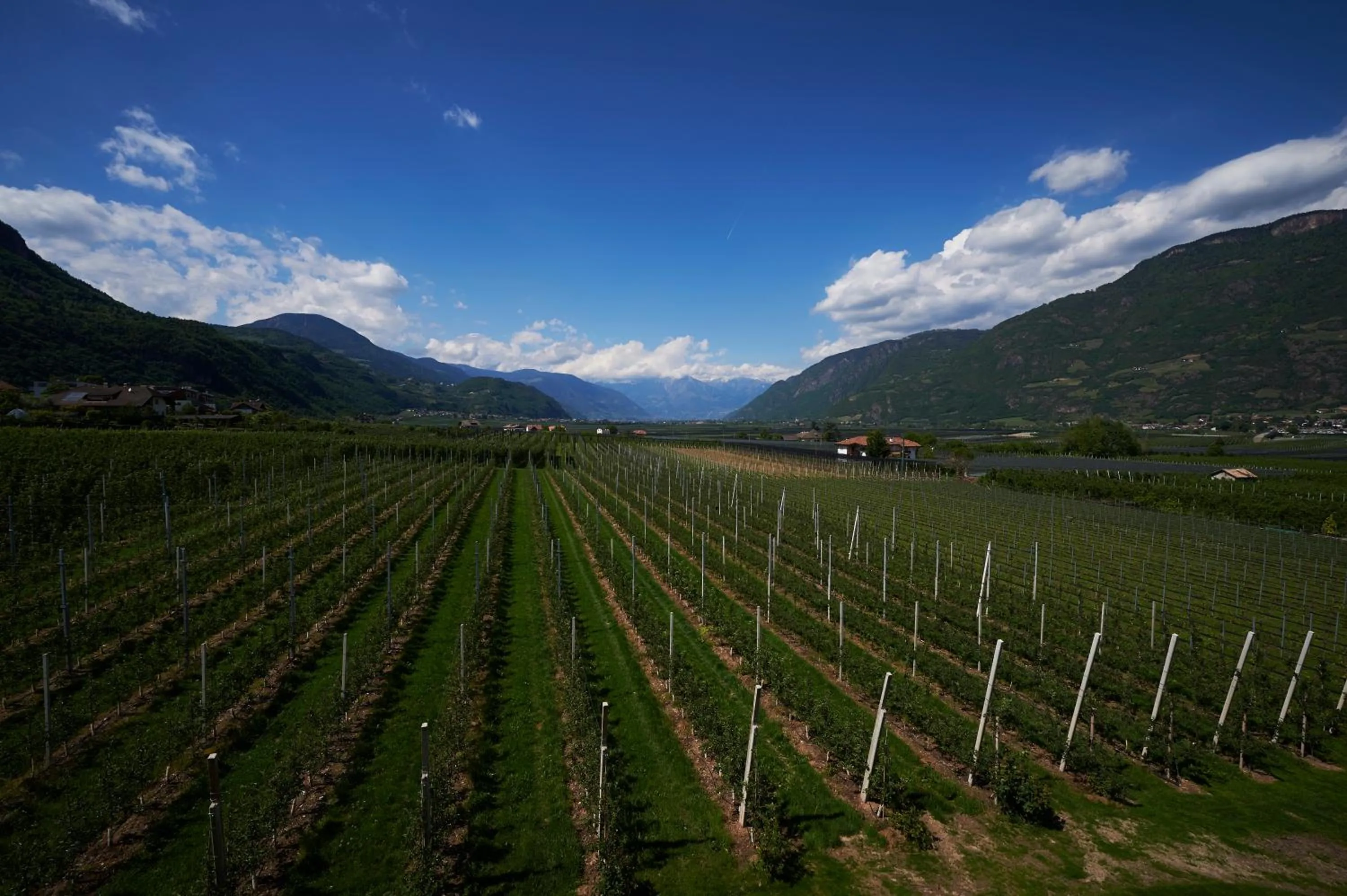 Other in Hotel Gantkofel