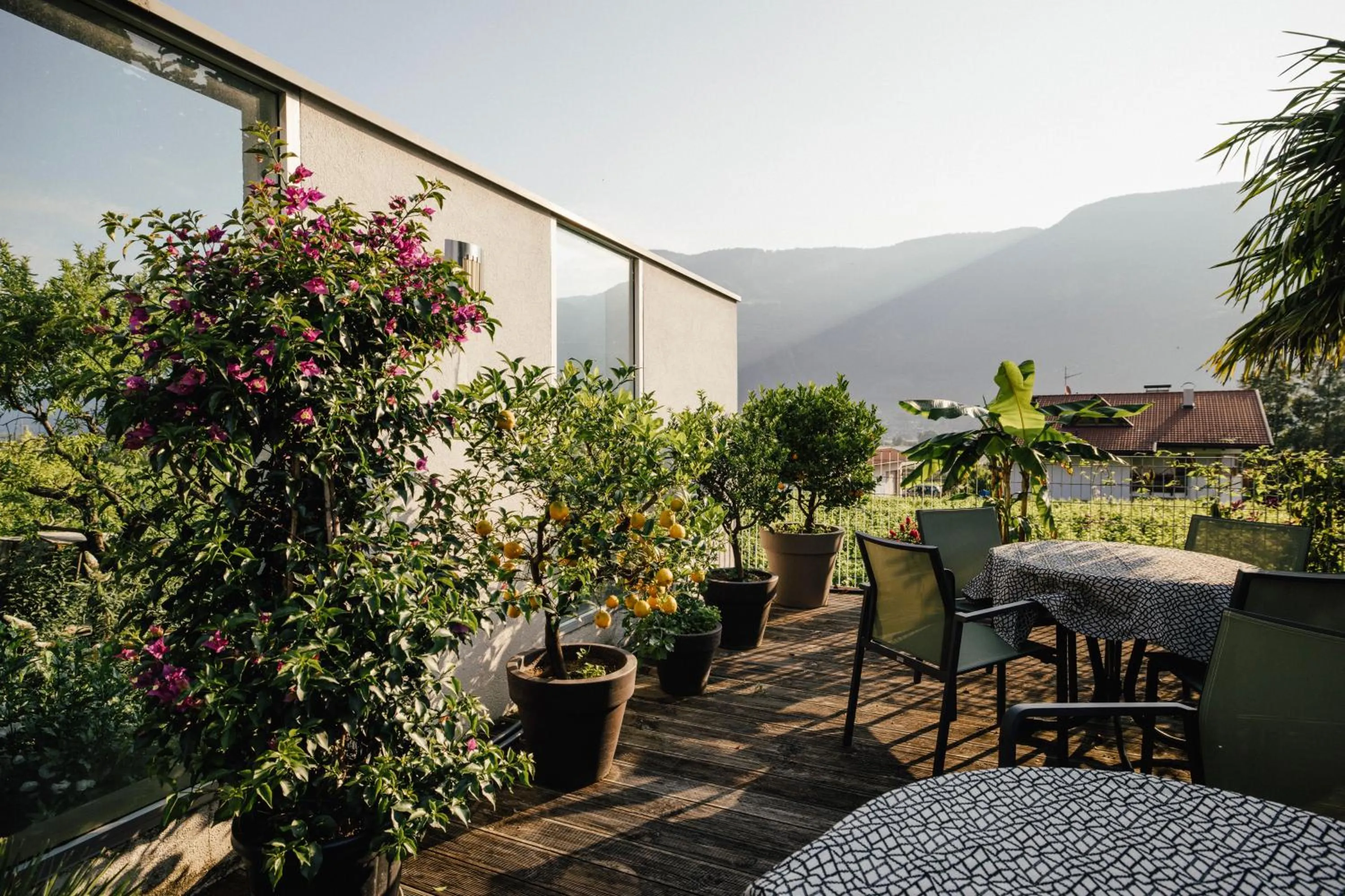 Garden in Hotel Gantkofel