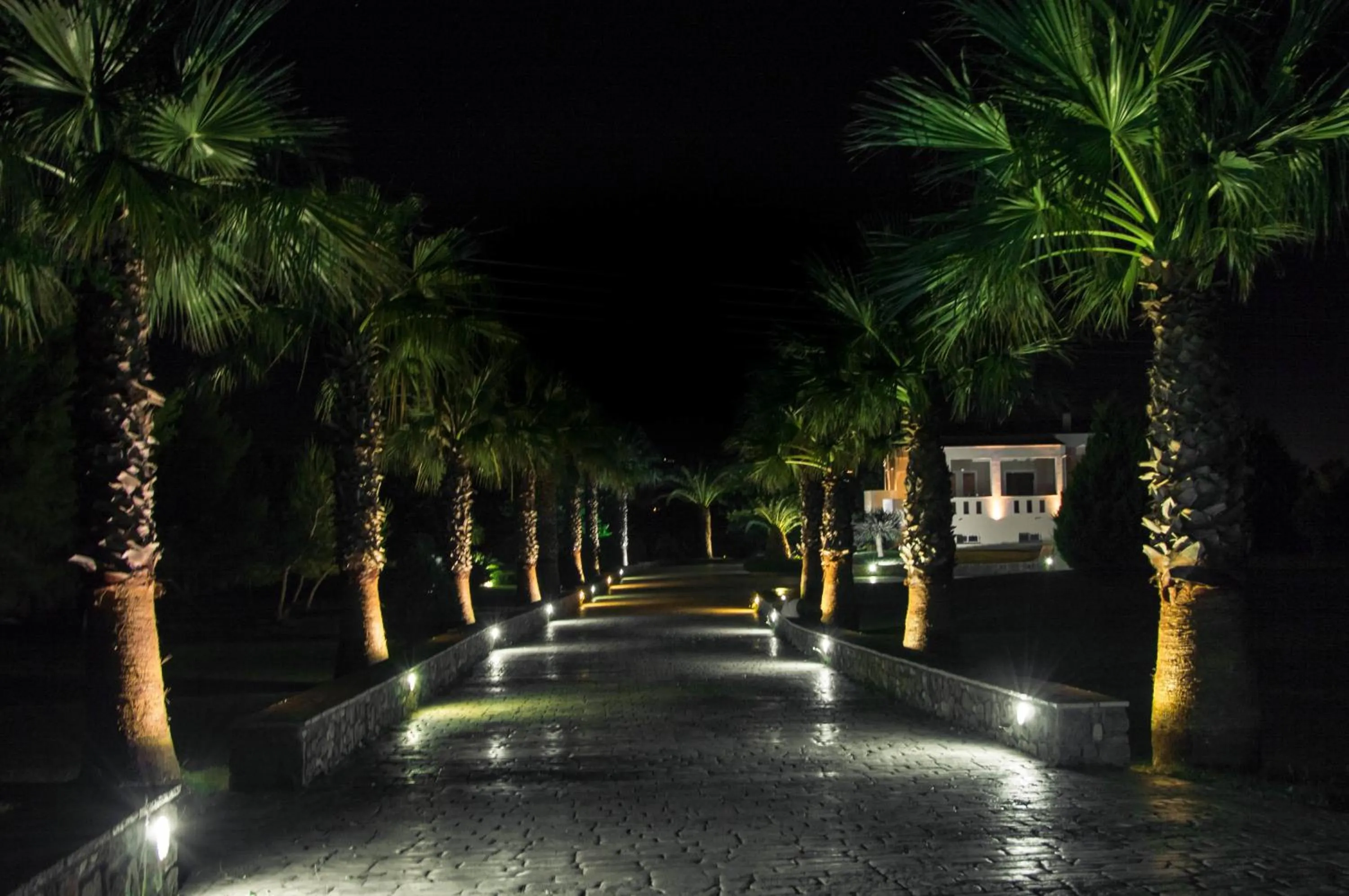 Area and facilities in Leone Luxury Villas