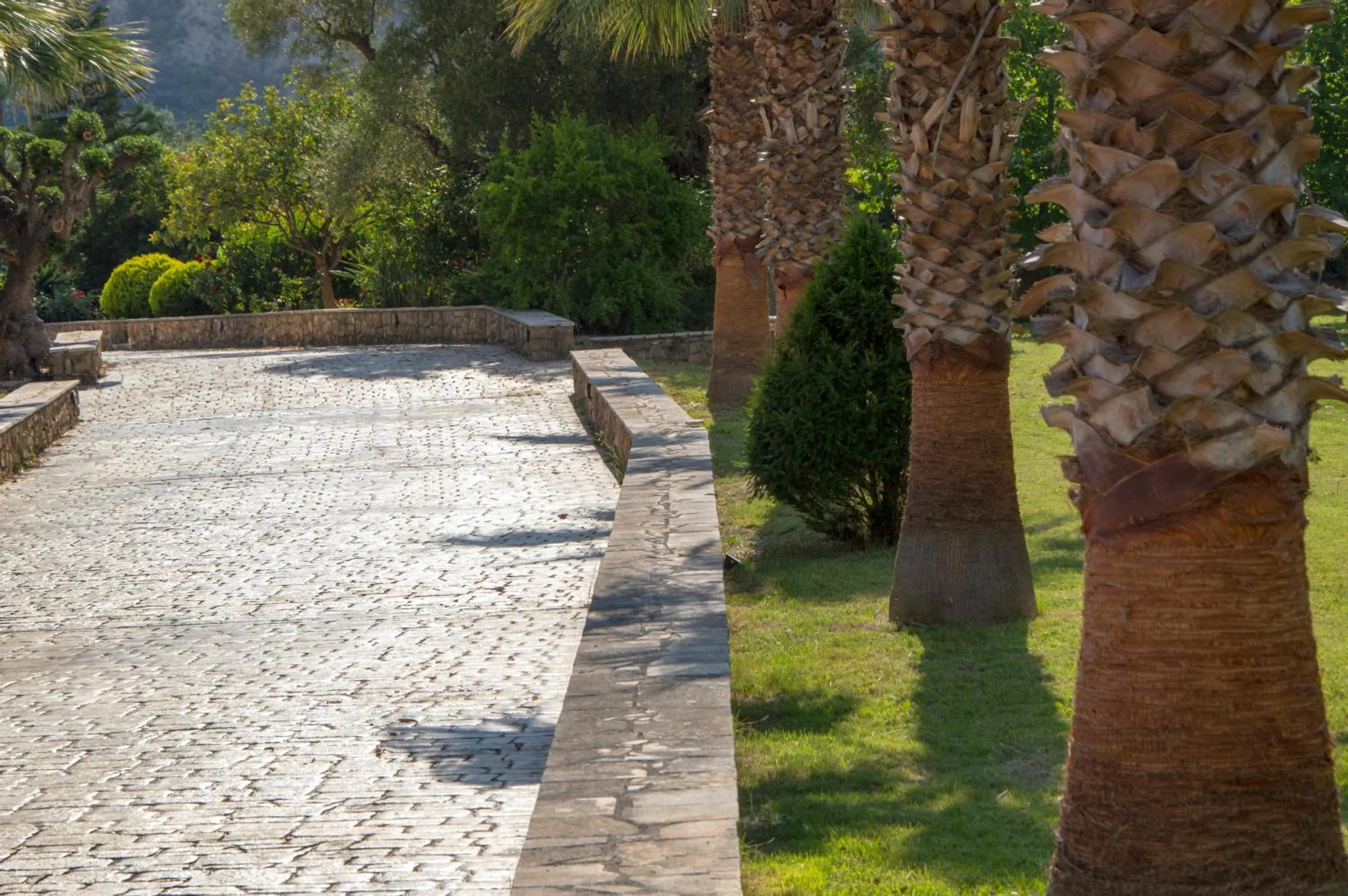 On site in Leone Luxury Villas