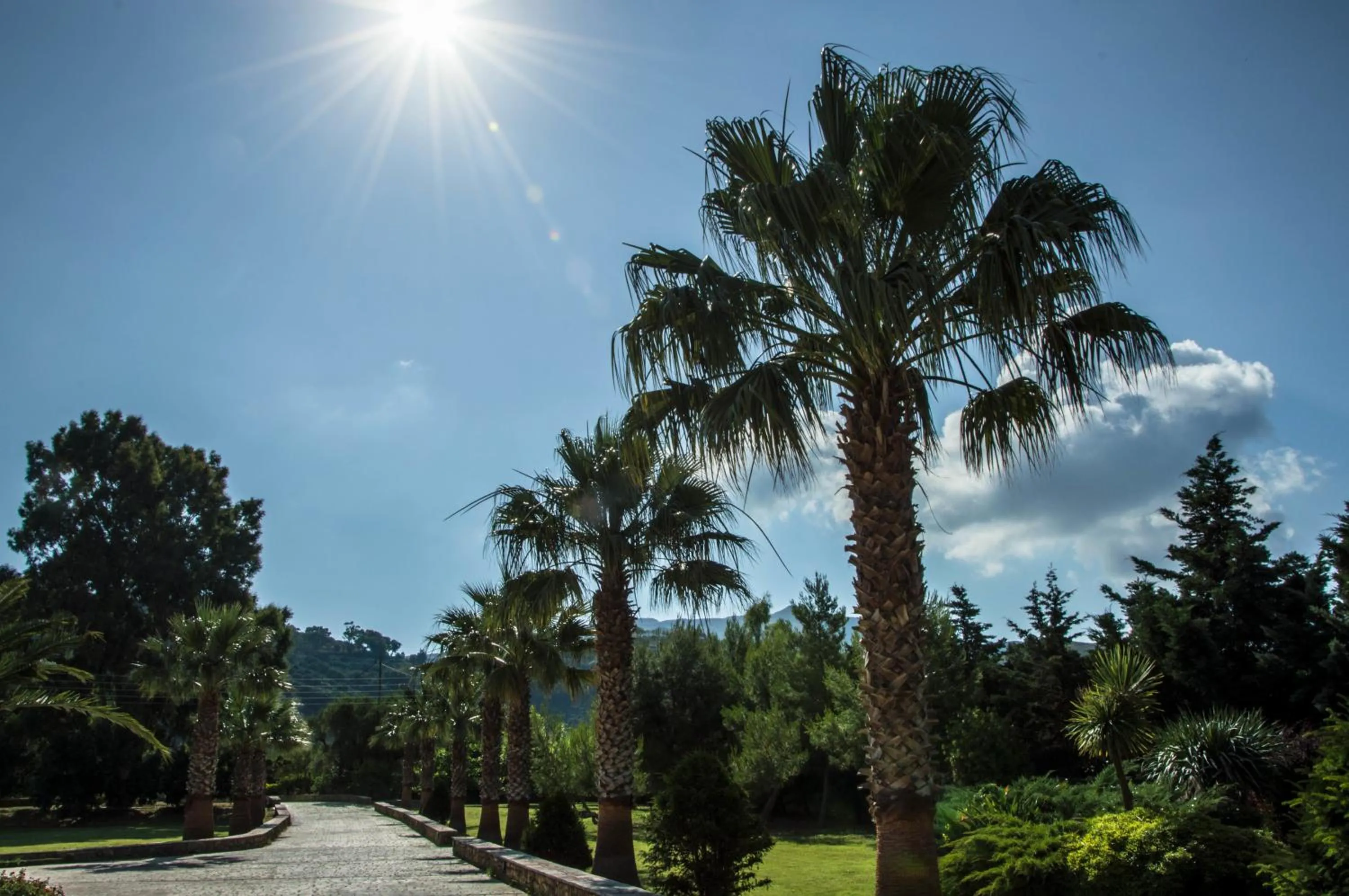 Facade/entrance in Leone Luxury Villas