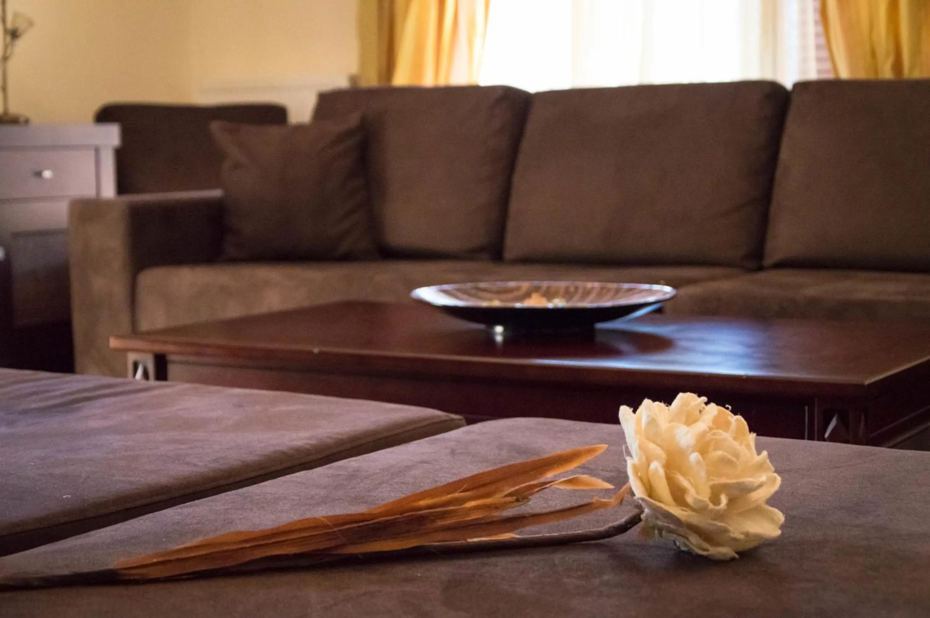 Photo of the whole room in Leone Luxury Villas