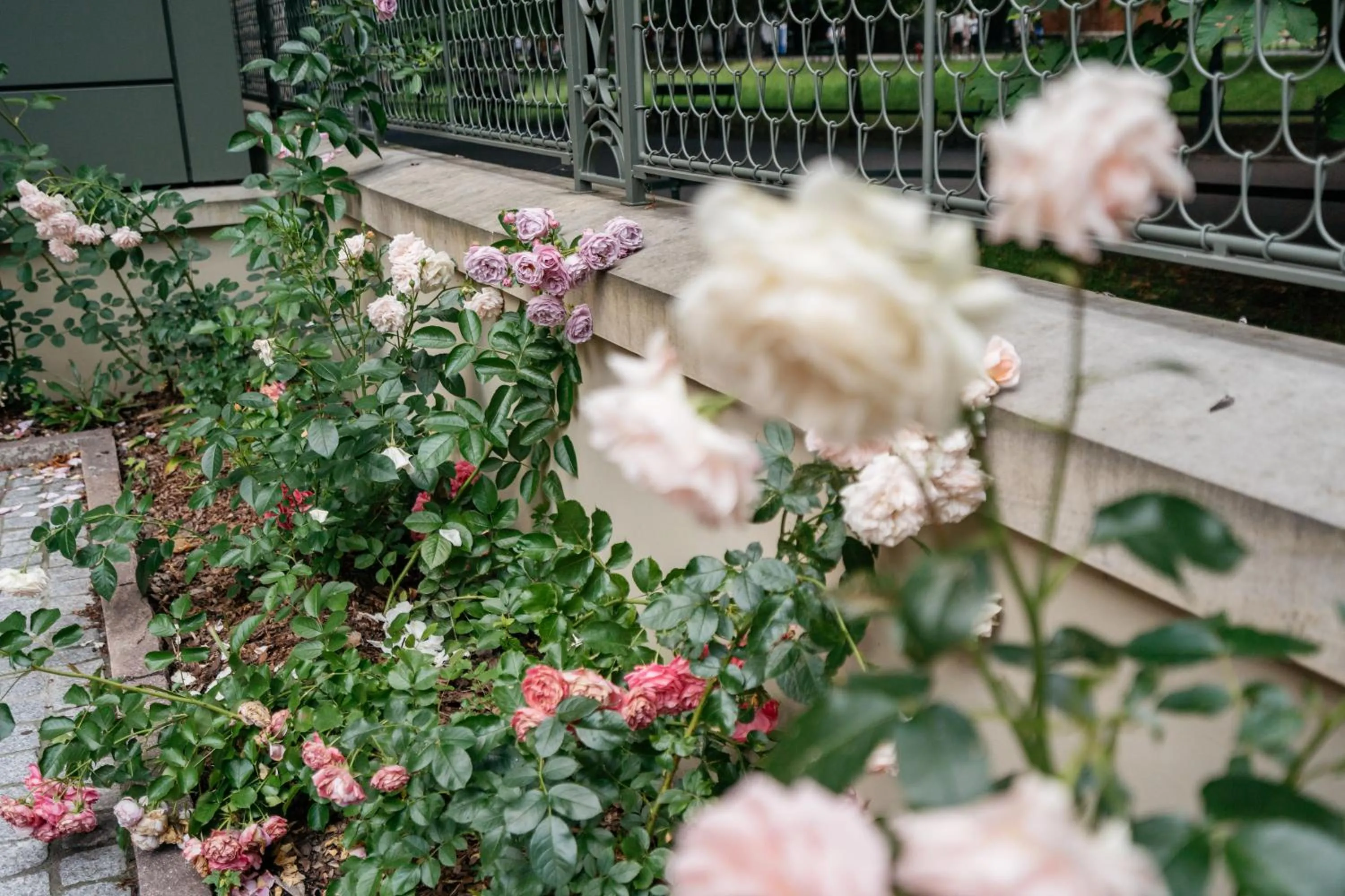 Spring in WillaWawel - LoftAffair Collection