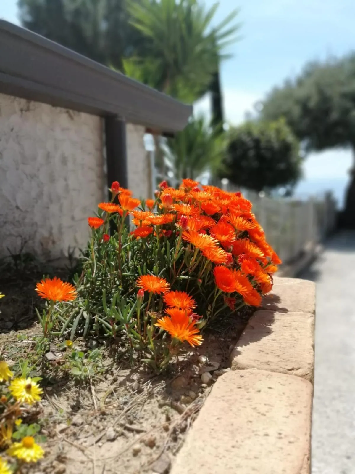On site in Villa Incanto B&B