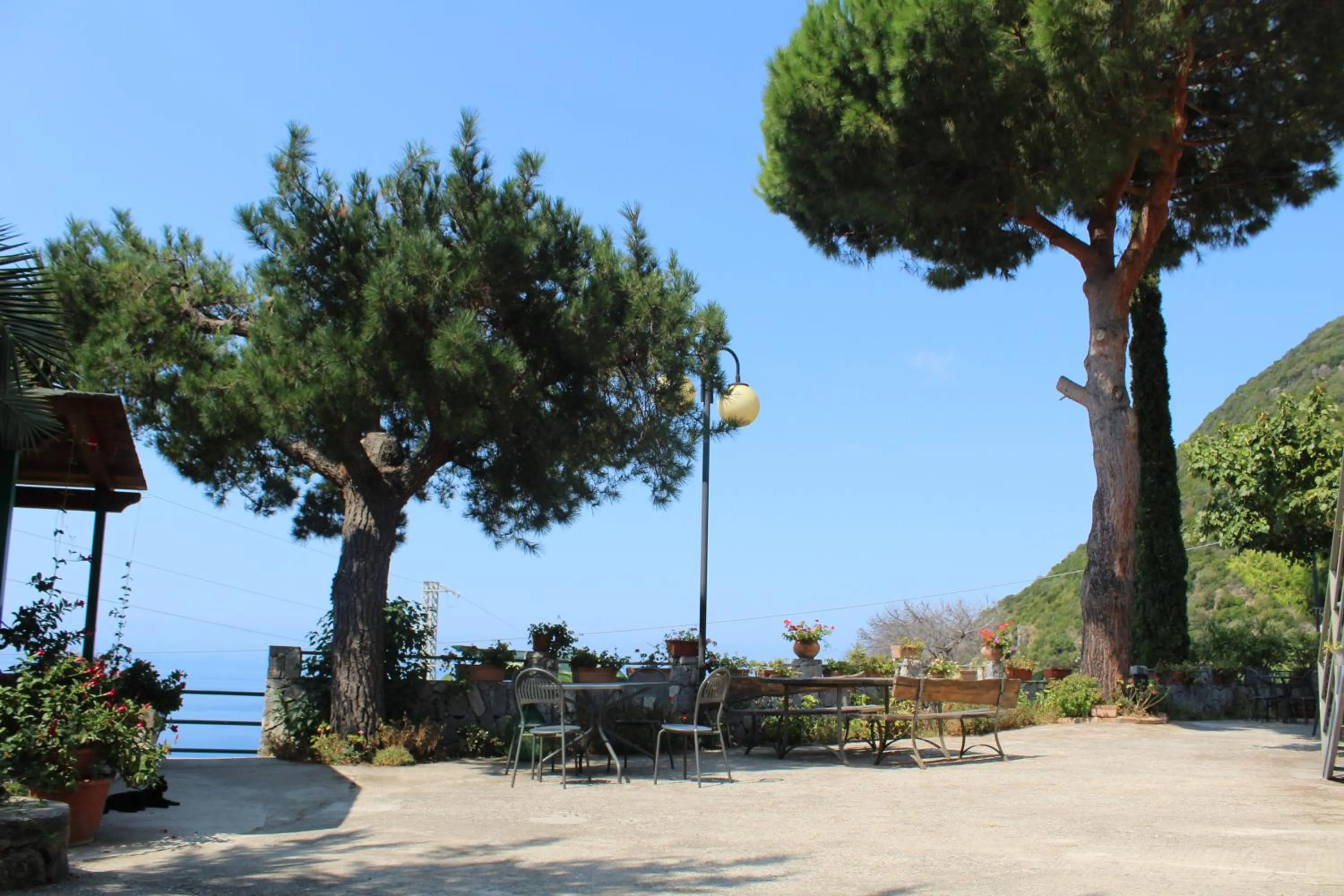 Natural landscape in Villa Incanto B&B