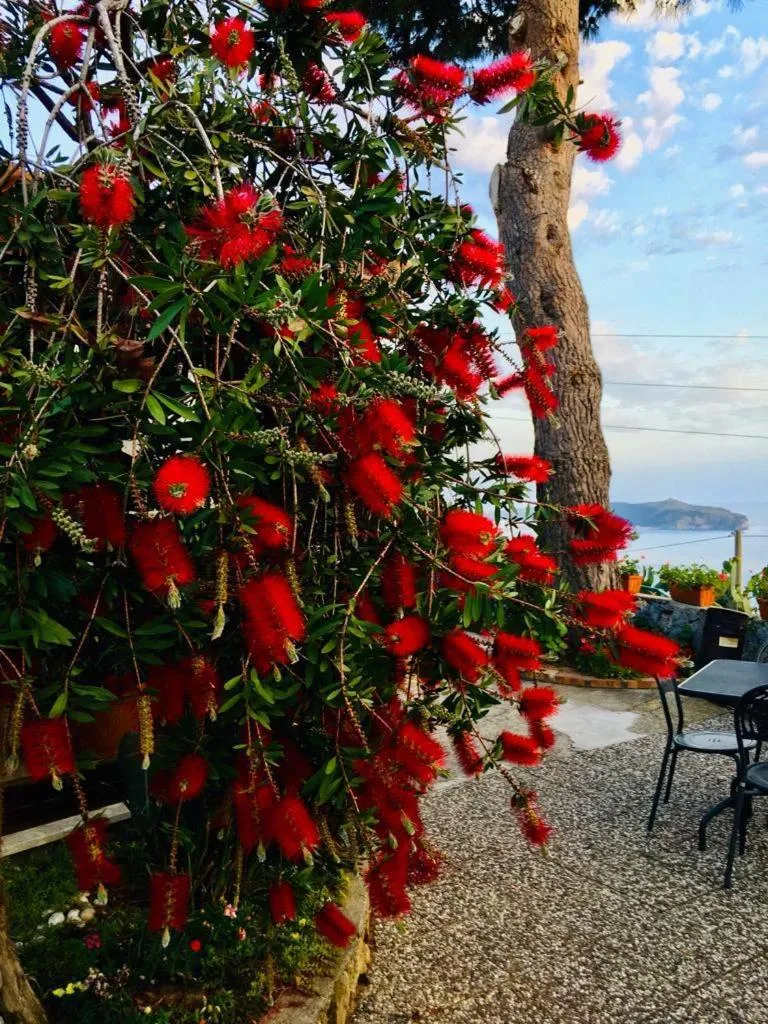 Villa Incanto B&B
