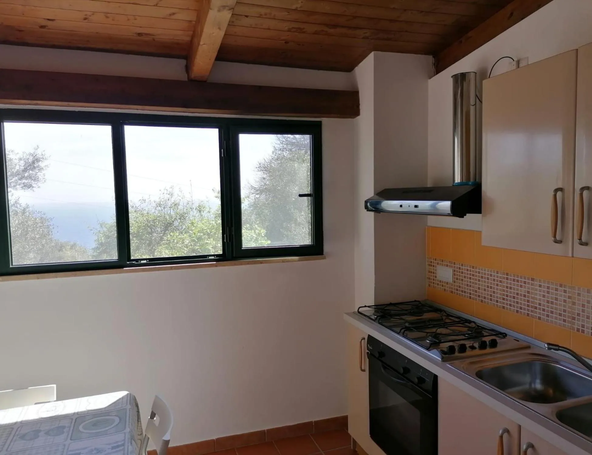 Kitchen or kitchenette in Villa Incanto B&B