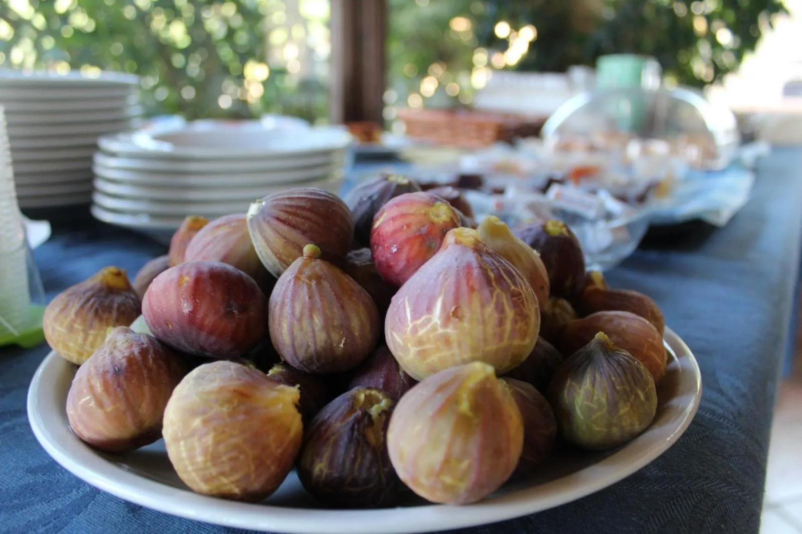 Breakfast in Villa Incanto B&B
