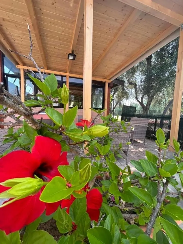 Patio in Appartamenti Vacanze Minervino