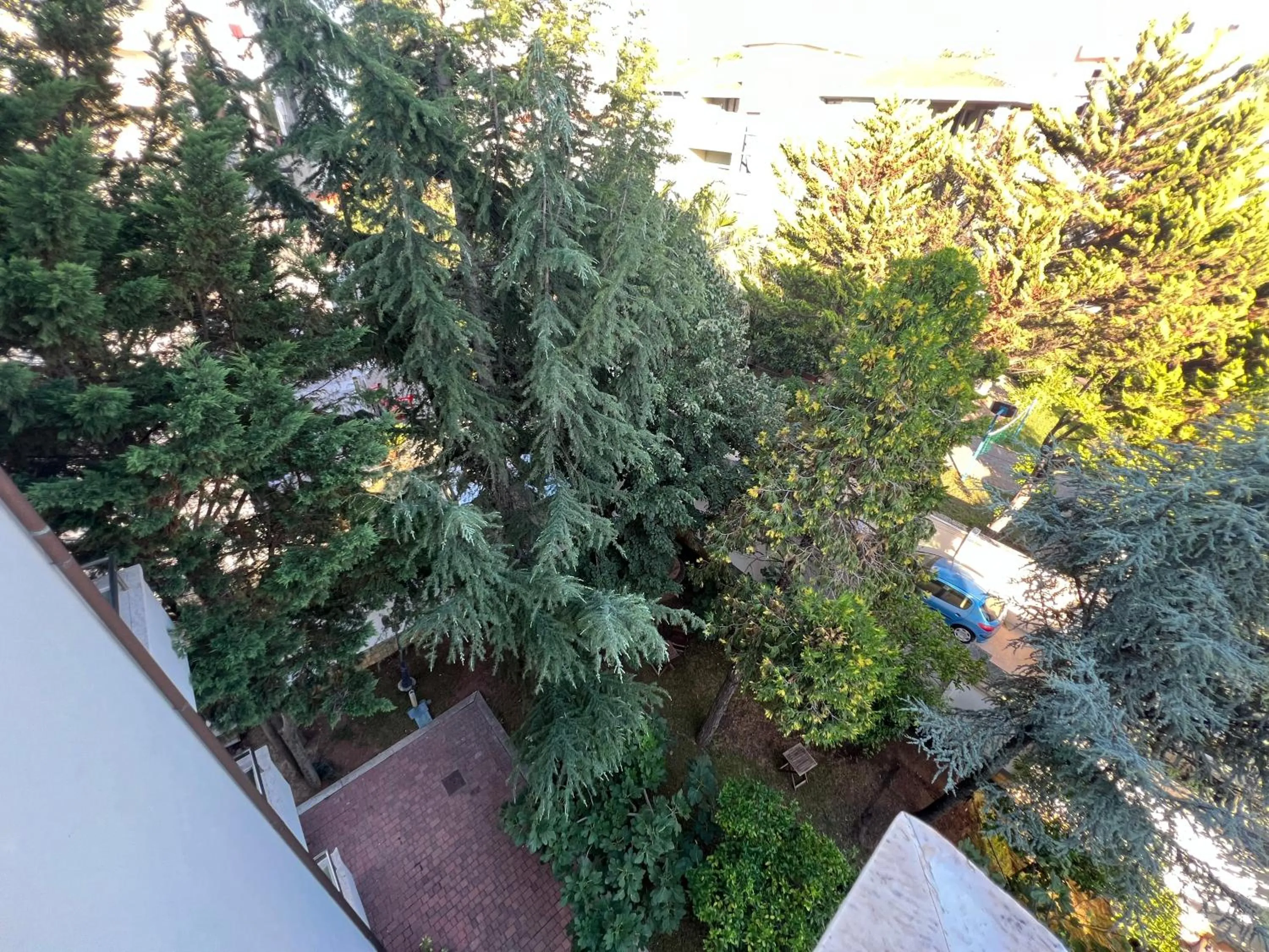 Garden view in Green Garden Villa