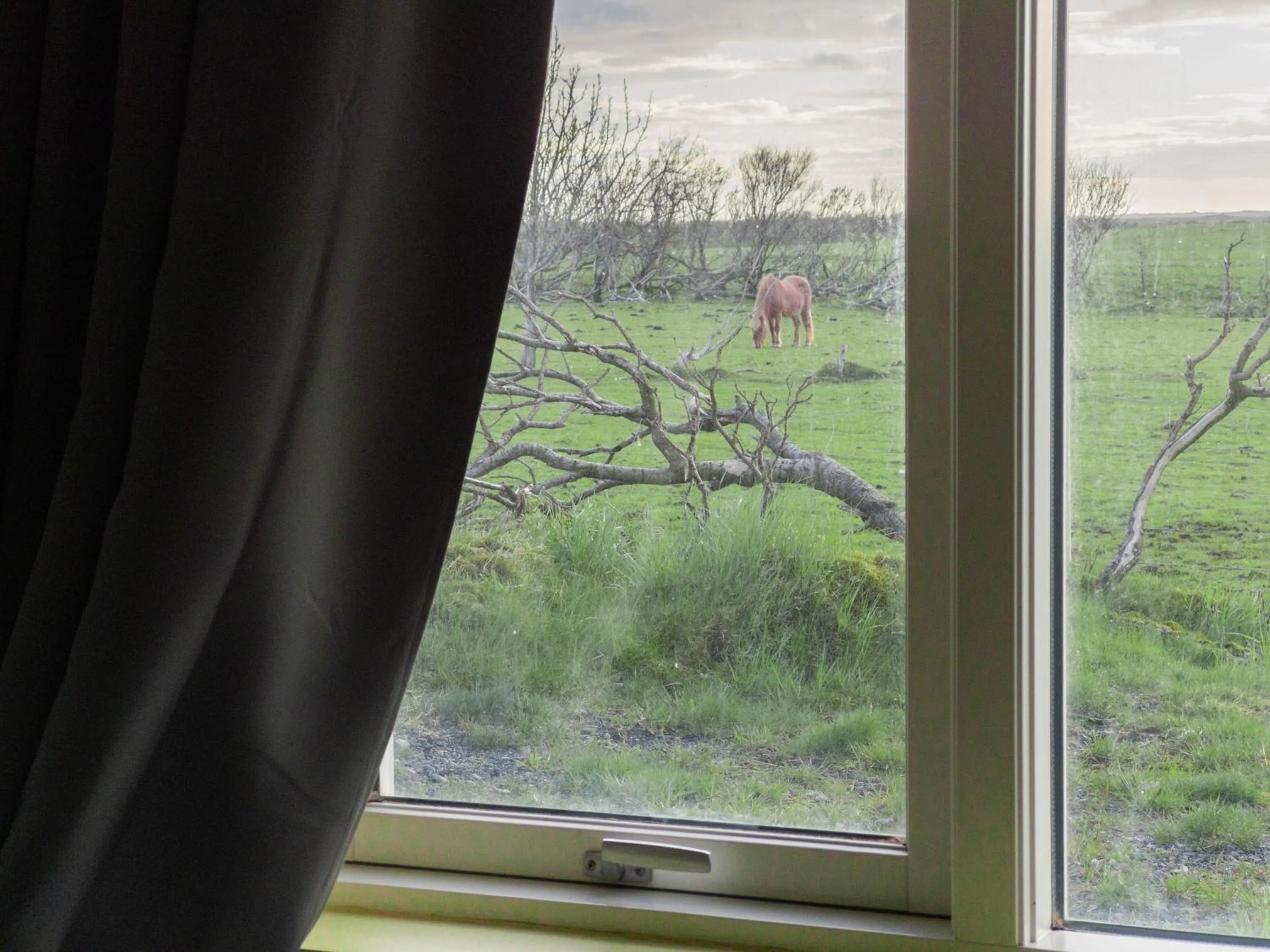 Garden view in Bakland ad Lágafelli Apartment