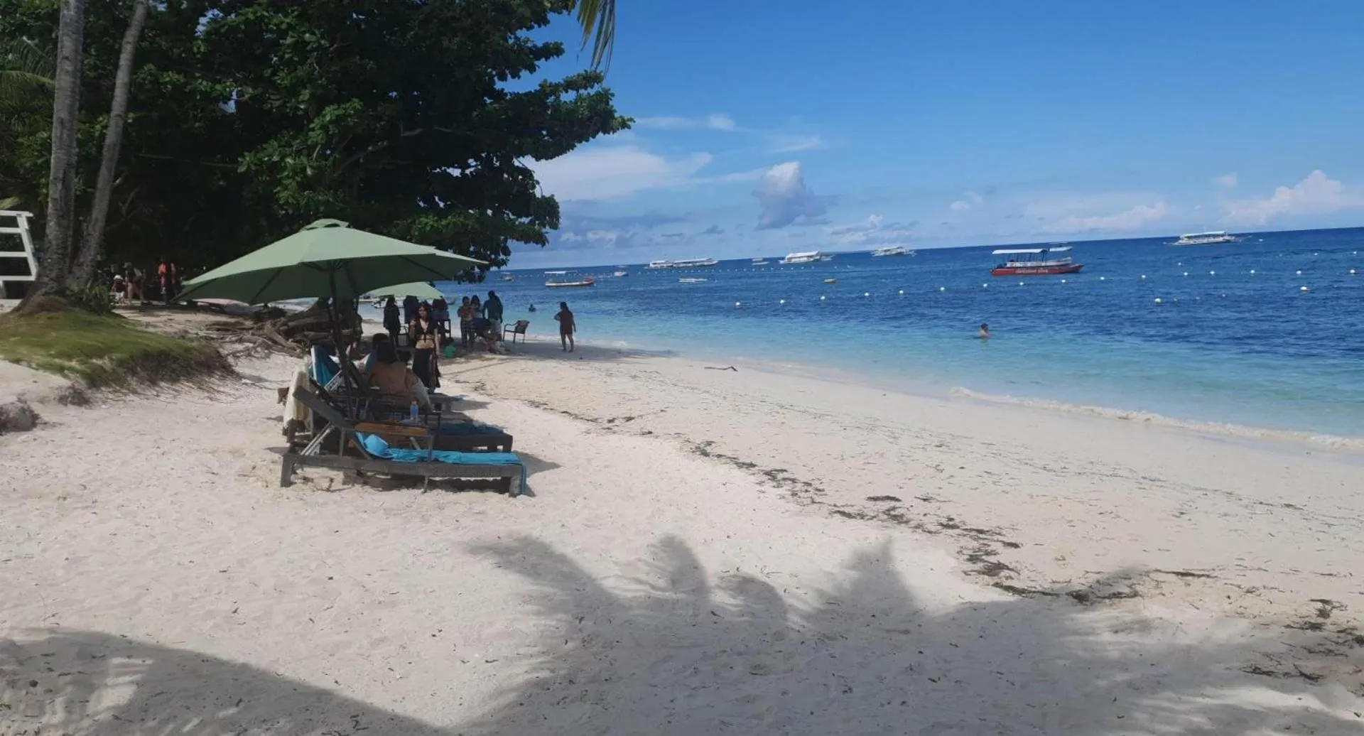 Beach in birdwatchers beachfront hotel panglao