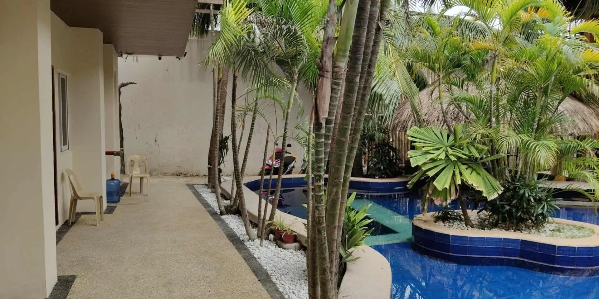 birdwatchers beachfront hotel panglao