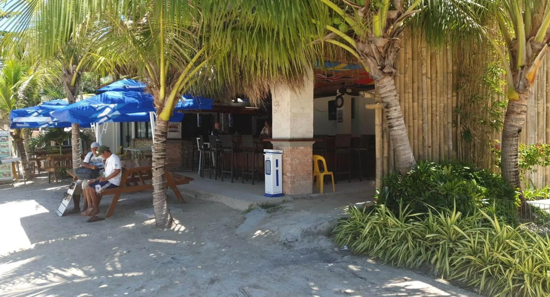 Property building in birdwatchers beachfront hotel panglao