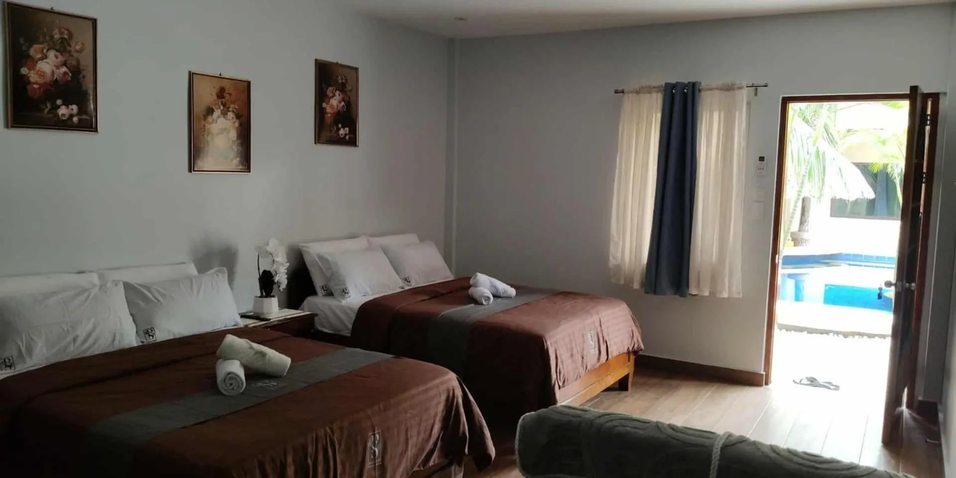 Bed in birdwatchers beachfront hotel panglao