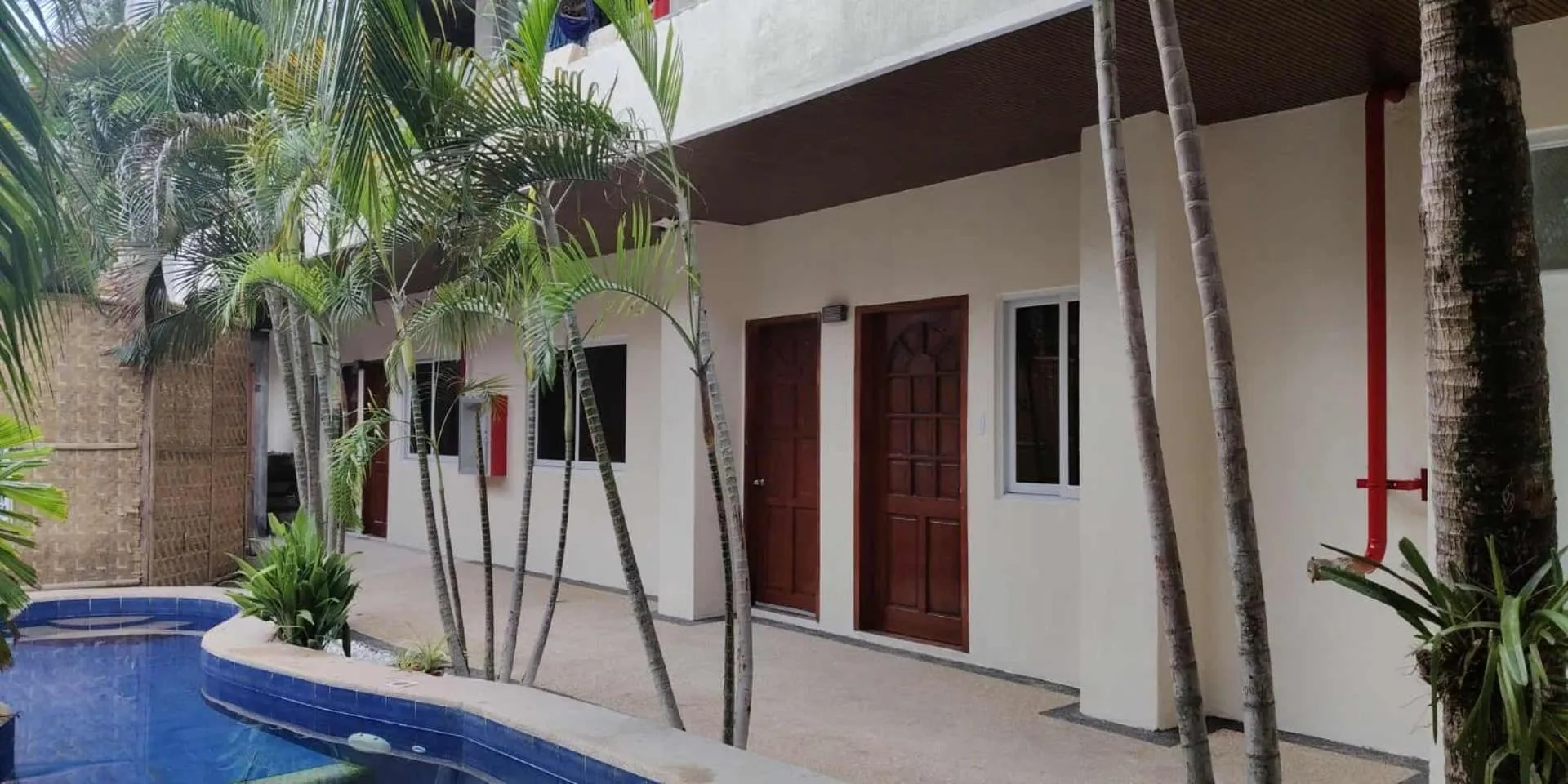 birdwatchers beachfront hotel panglao