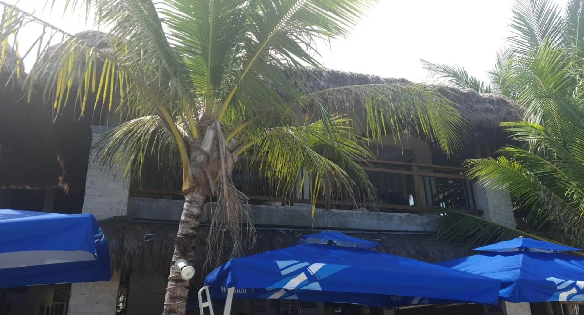 Property building in birdwatchers beachfront hotel panglao