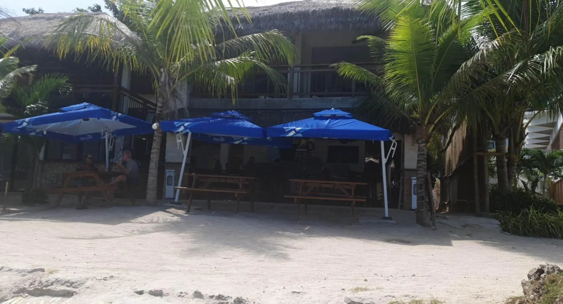 Property building in birdwatchers beachfront hotel panglao