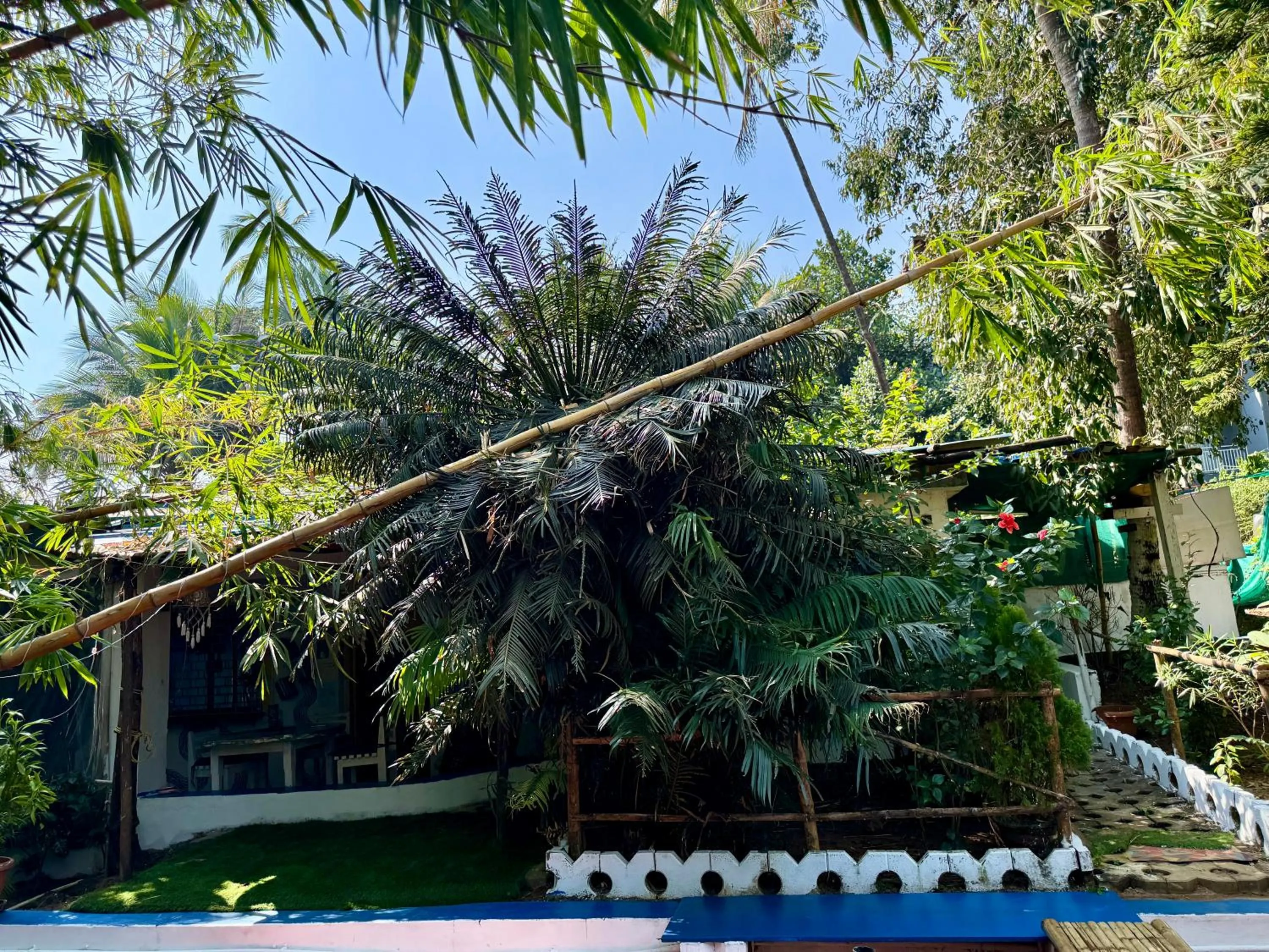 Garden in Endless Blue Hostel