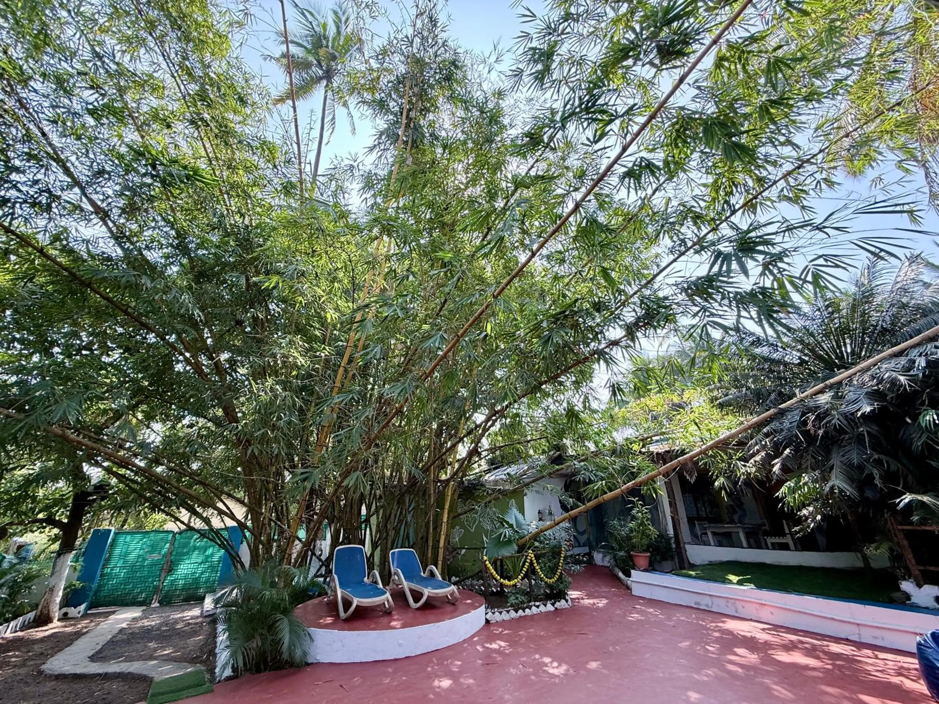 Garden view in Endless Blue Hostel