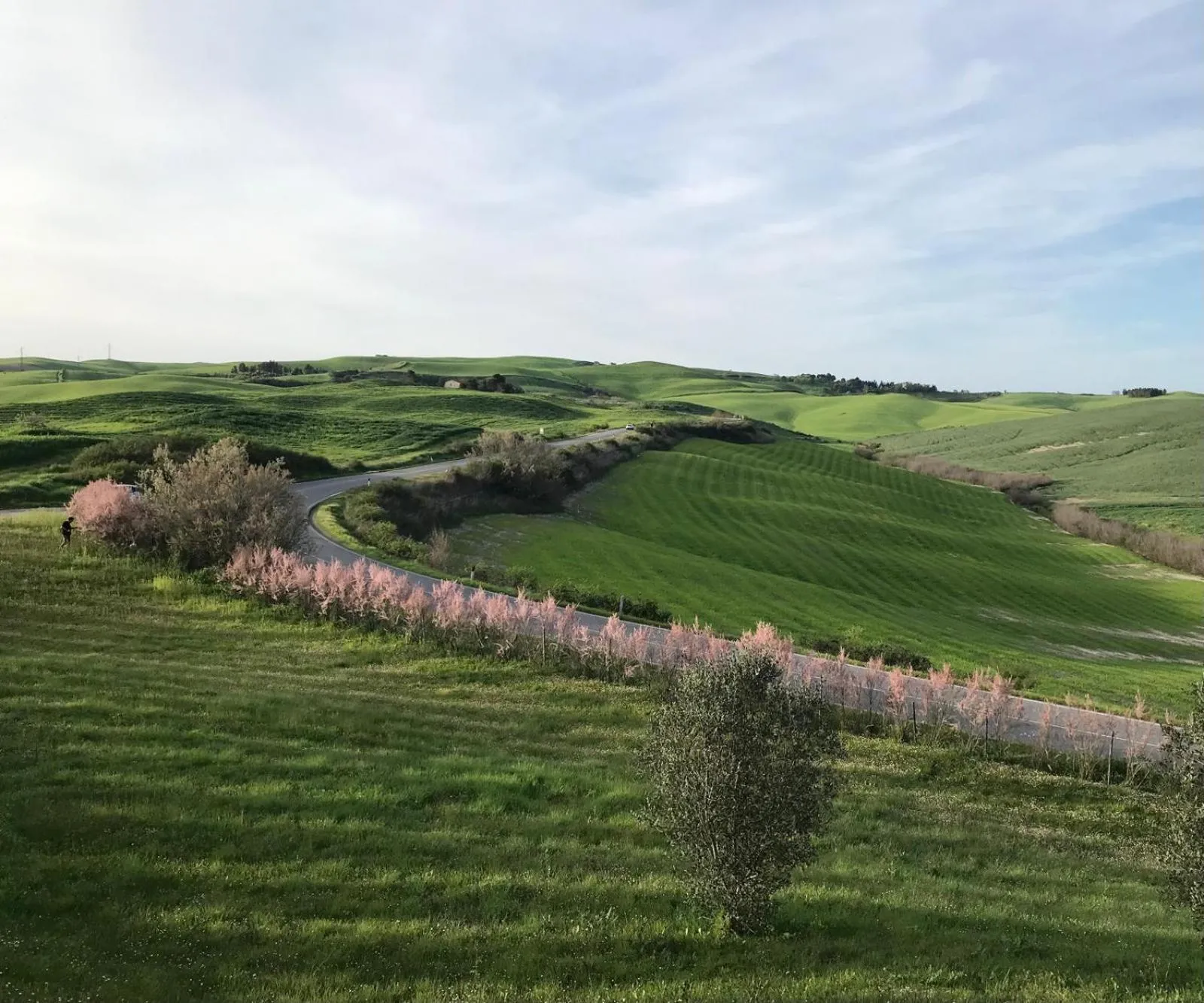 Natural landscape in Villa Panorama