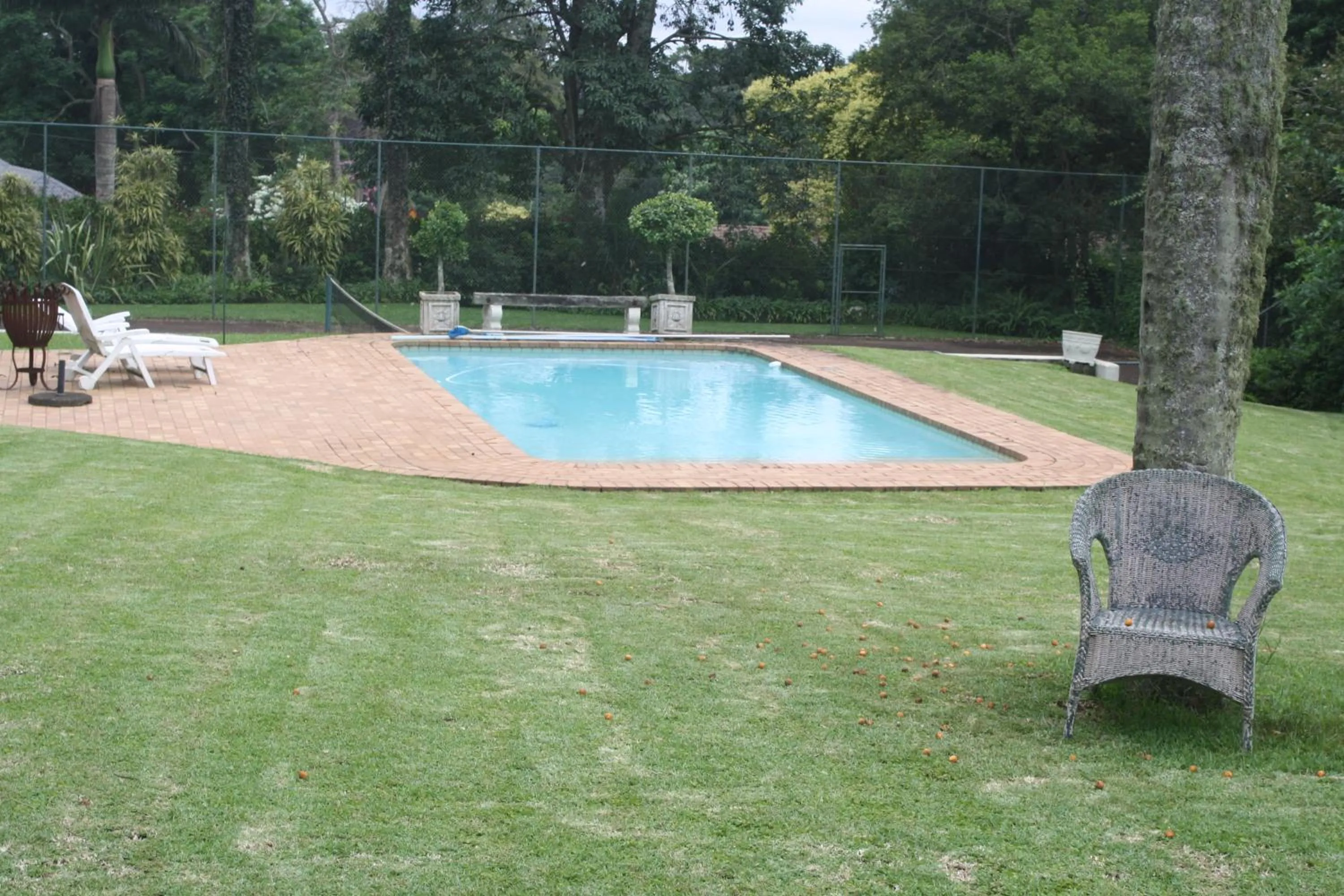 Tennis court in Lemon Tree B&B