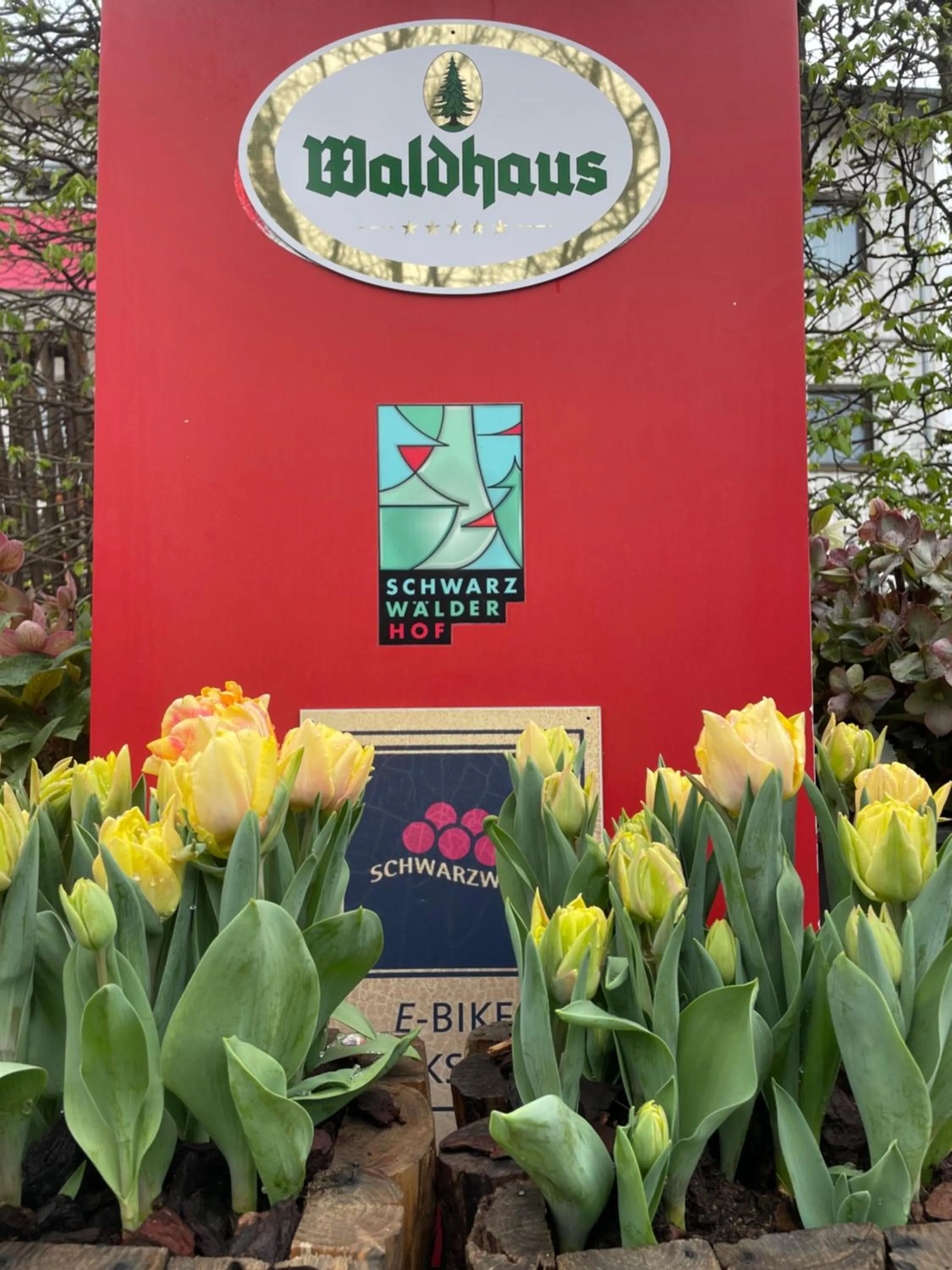 Garden in Hotel Schwarzwälder Hof Achern
