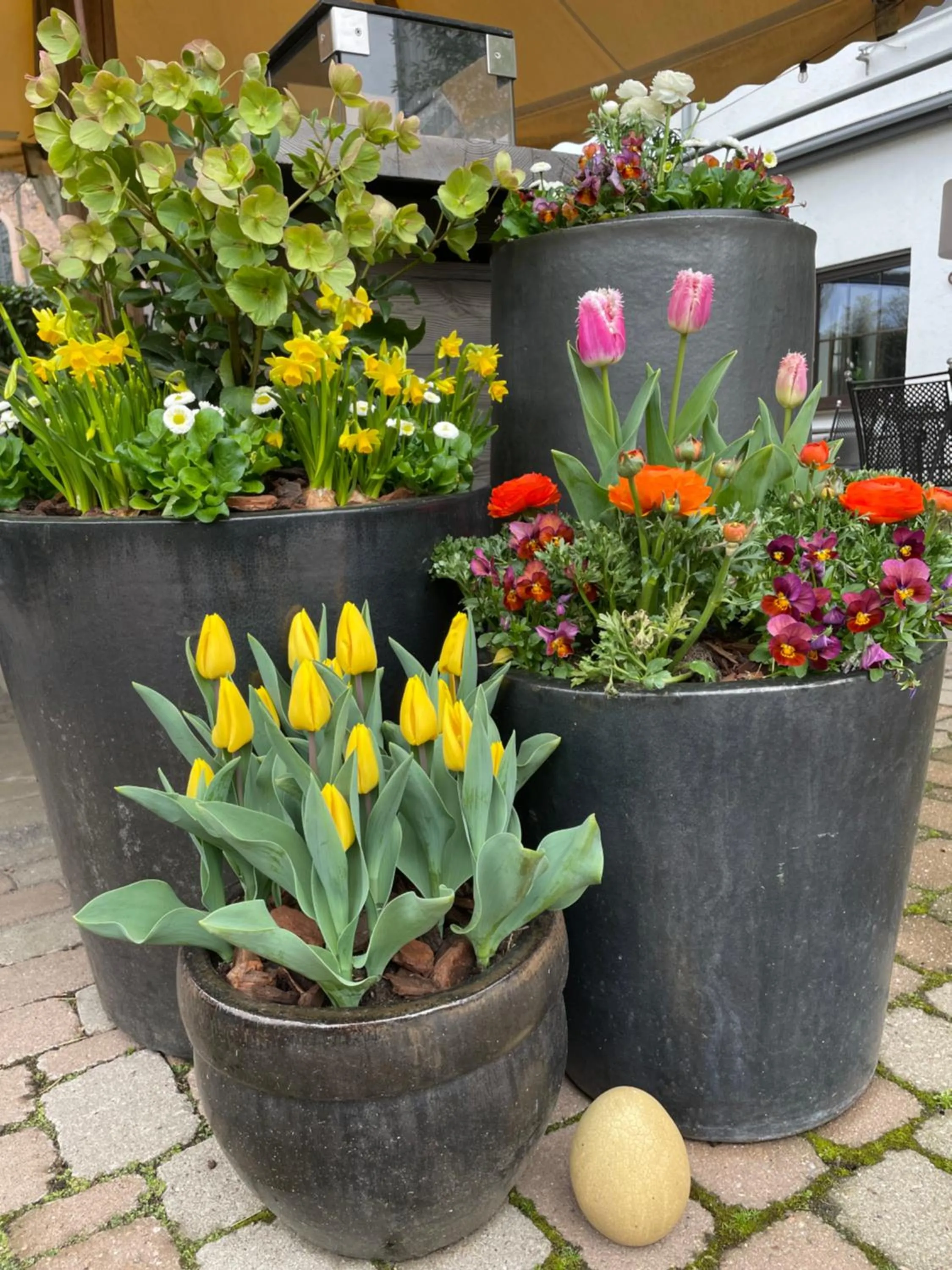 Garden in Hotel Schwarzwälder Hof Achern
