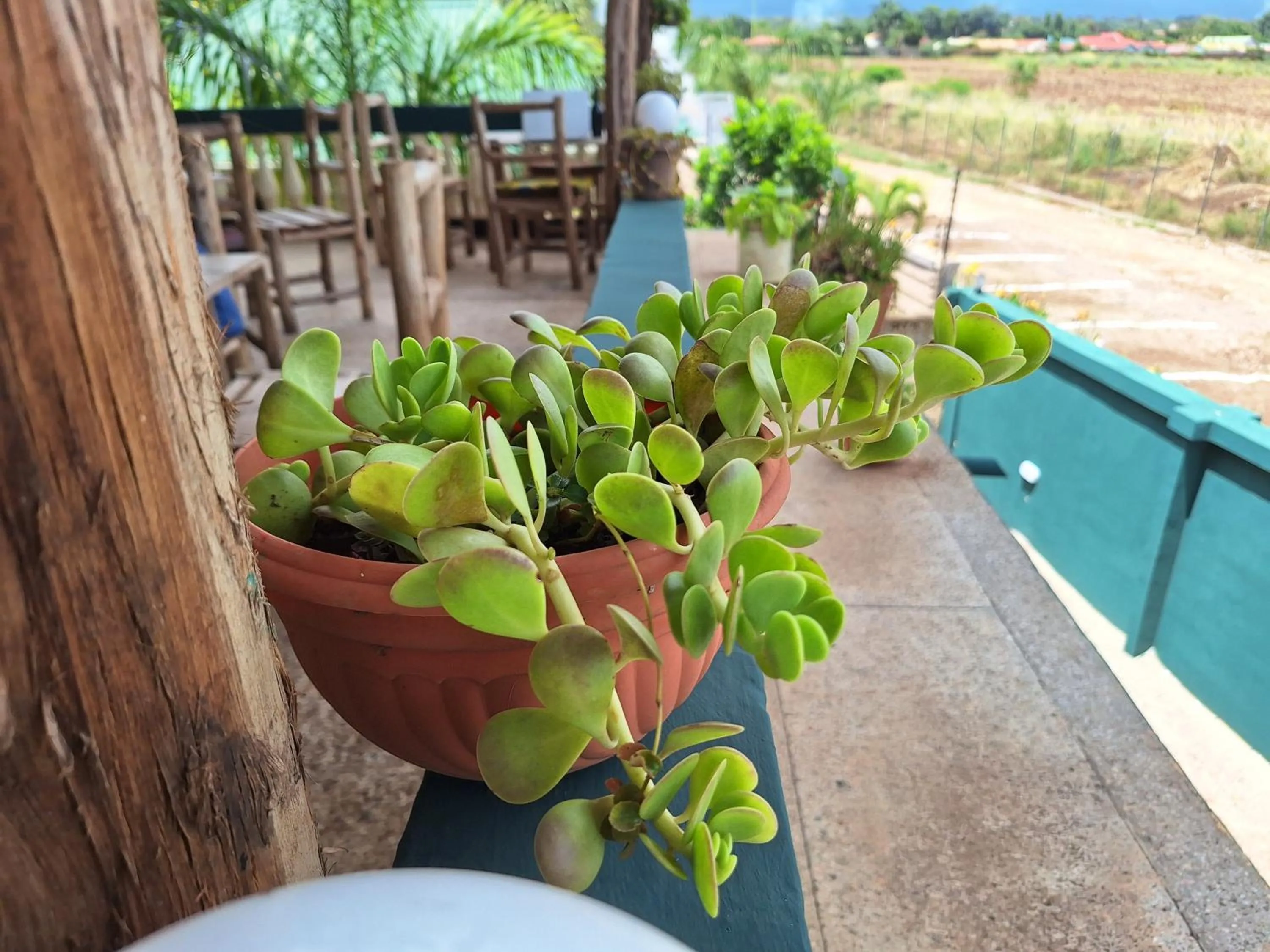 Decorative detail in Hill View Garden Hotel