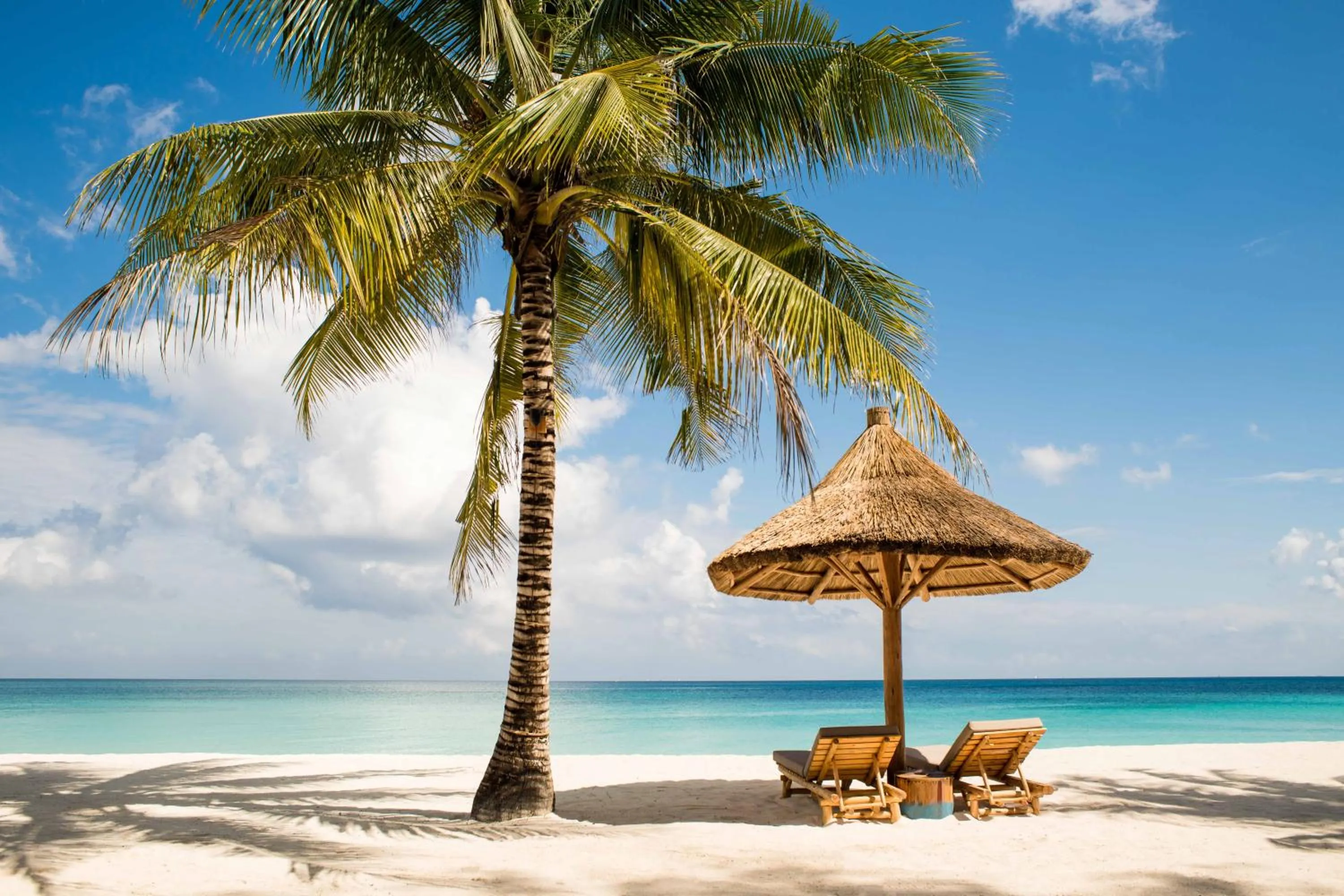 TASNEEM islamic luxury suites