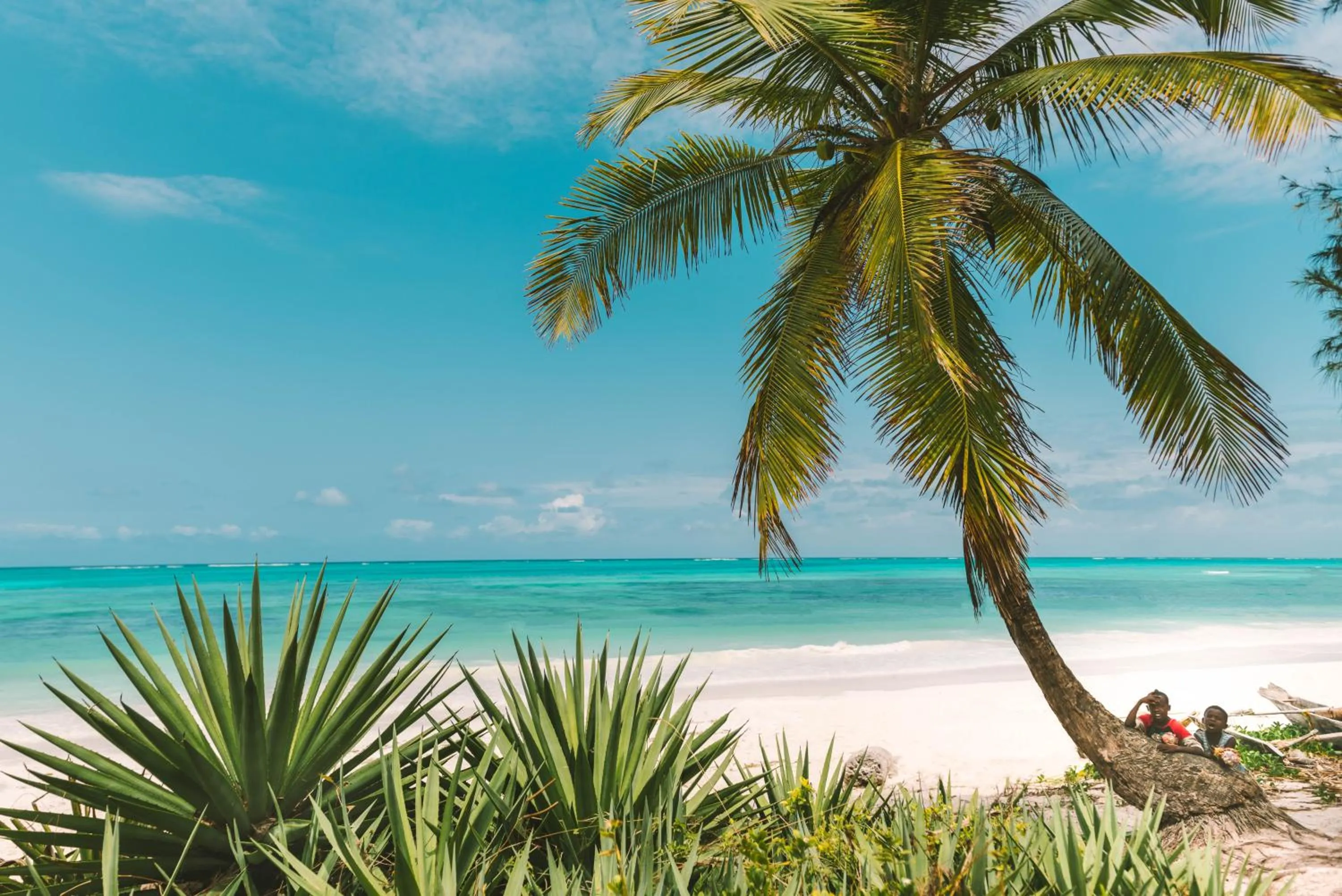 TASNEEM islamic luxury suites