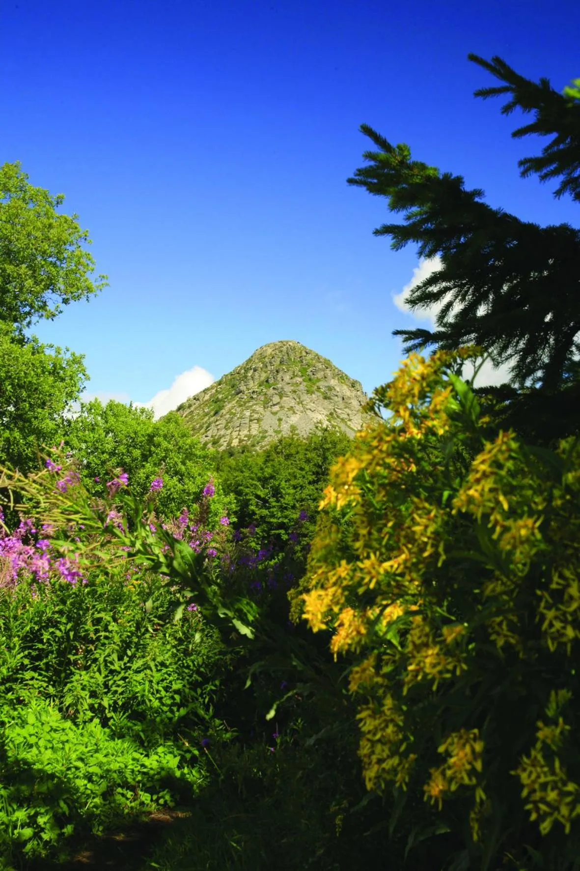 Nearby landmark in Hôtel Le Passage de Vallon