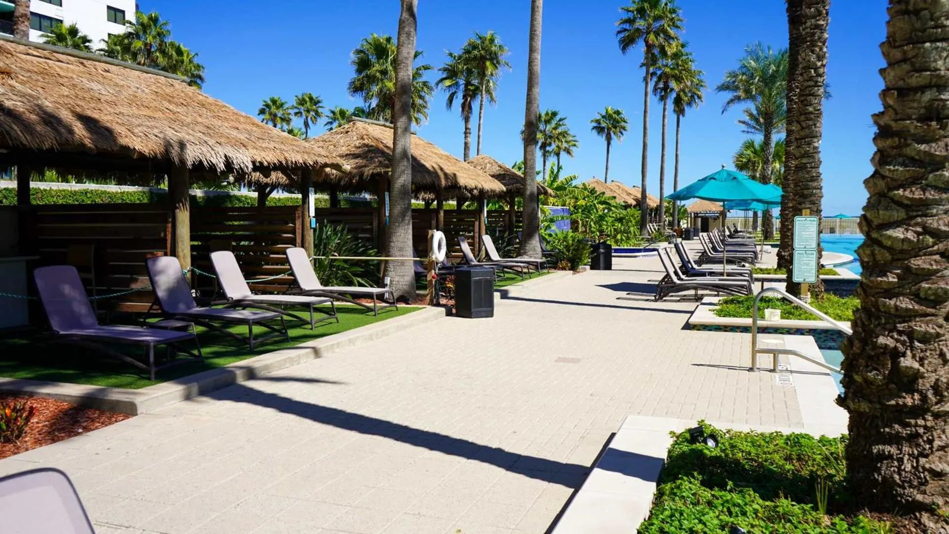 Swimming pool in Sapphire 1706