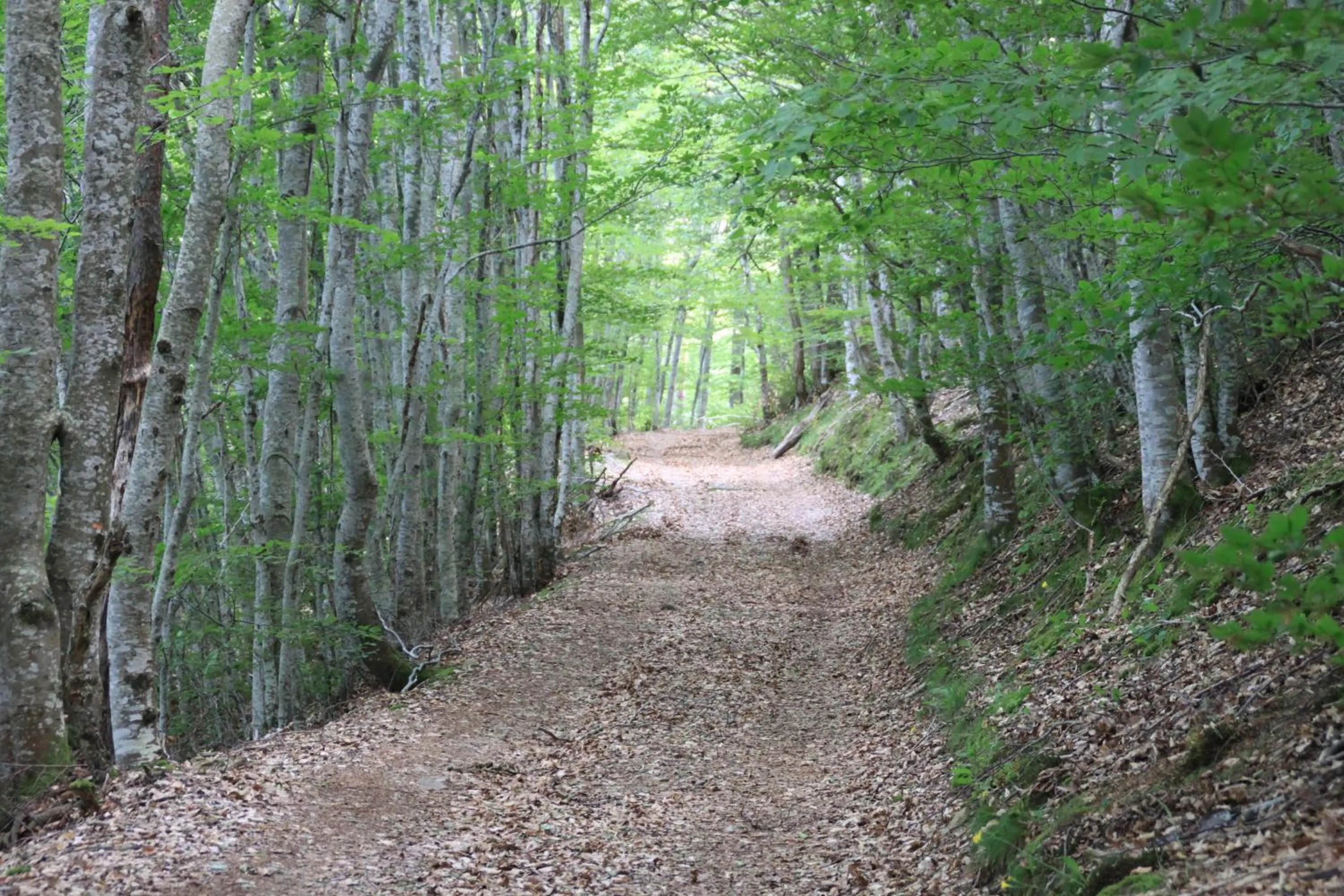 Nearby landmark in Les Chambres d'Hôtes Le Triskèle